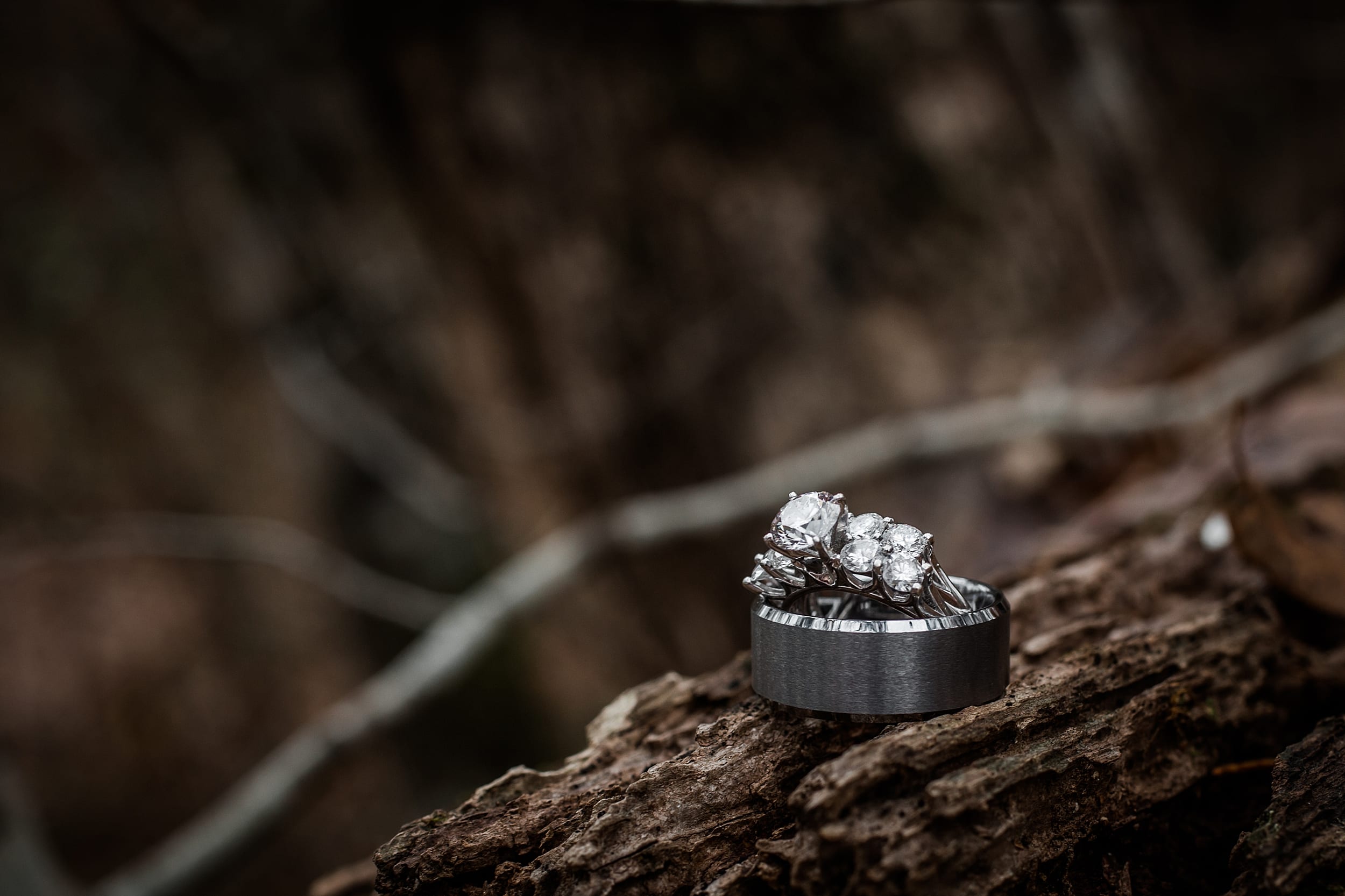 Rings at Smoky Mountain Wedding Chapels. 