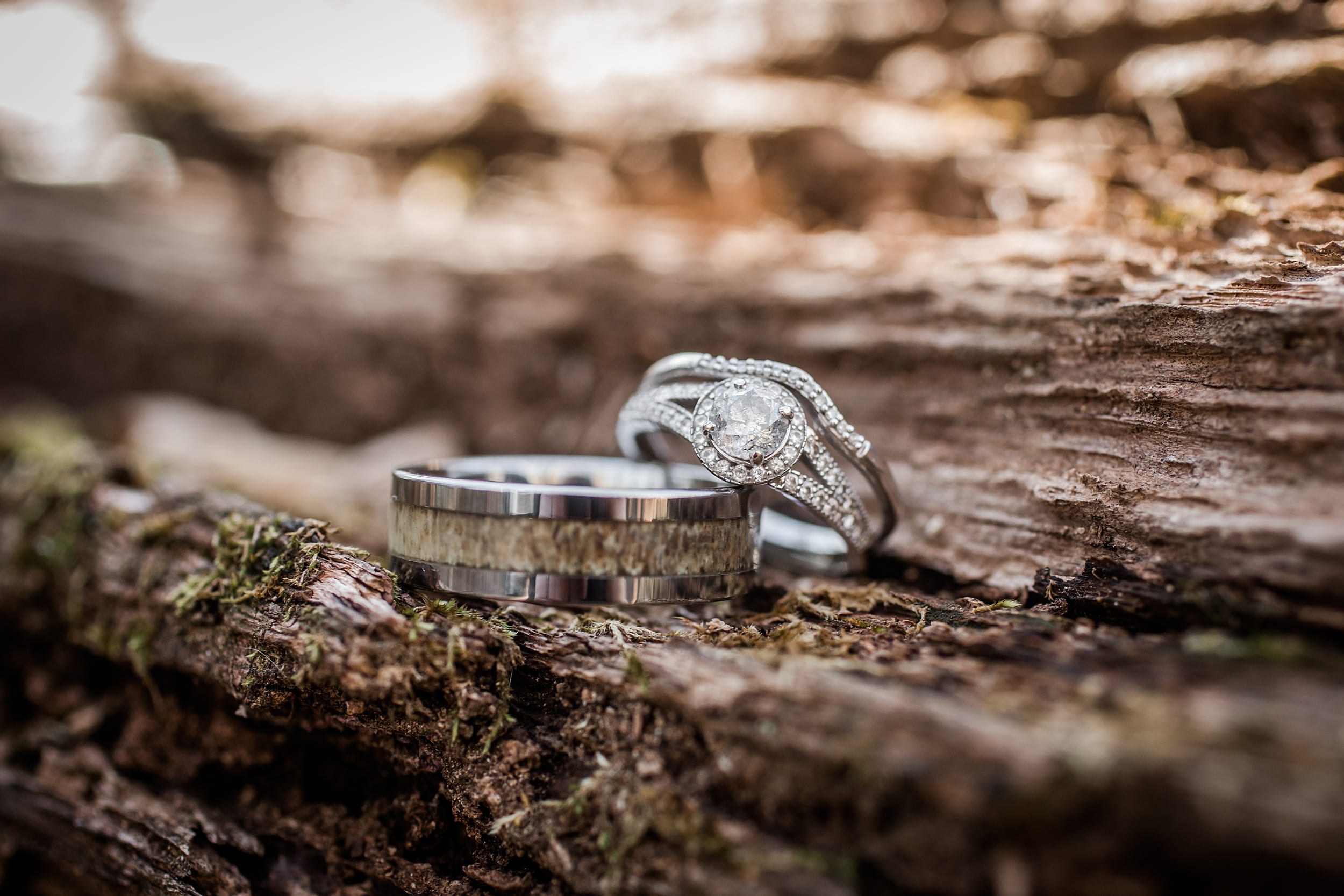 Wedding Rings in the Woods