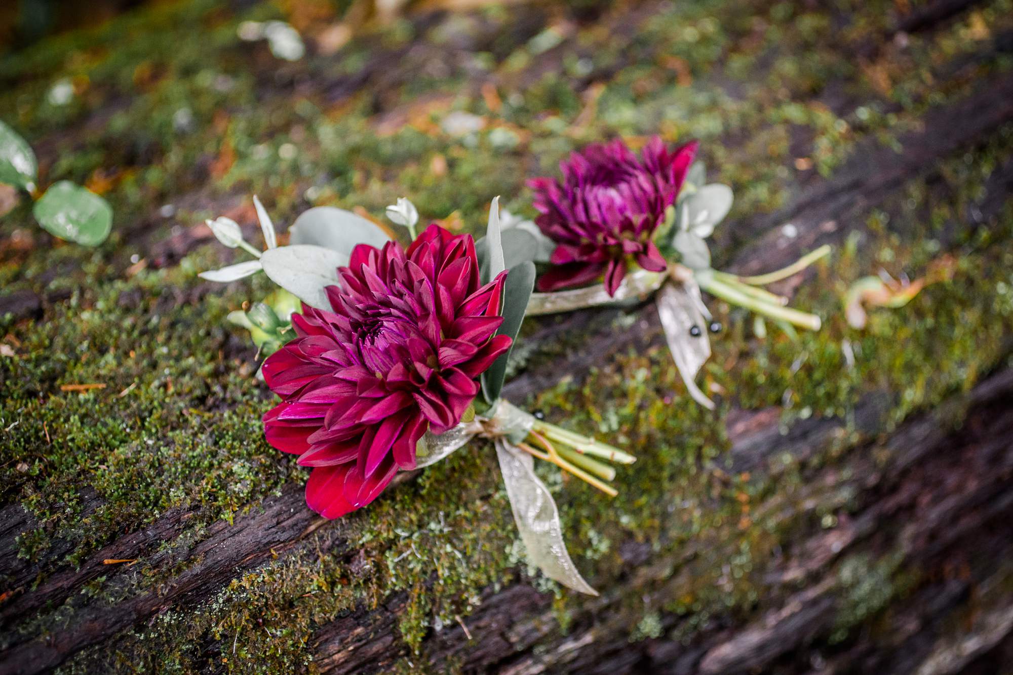 Boutonnieres on Log