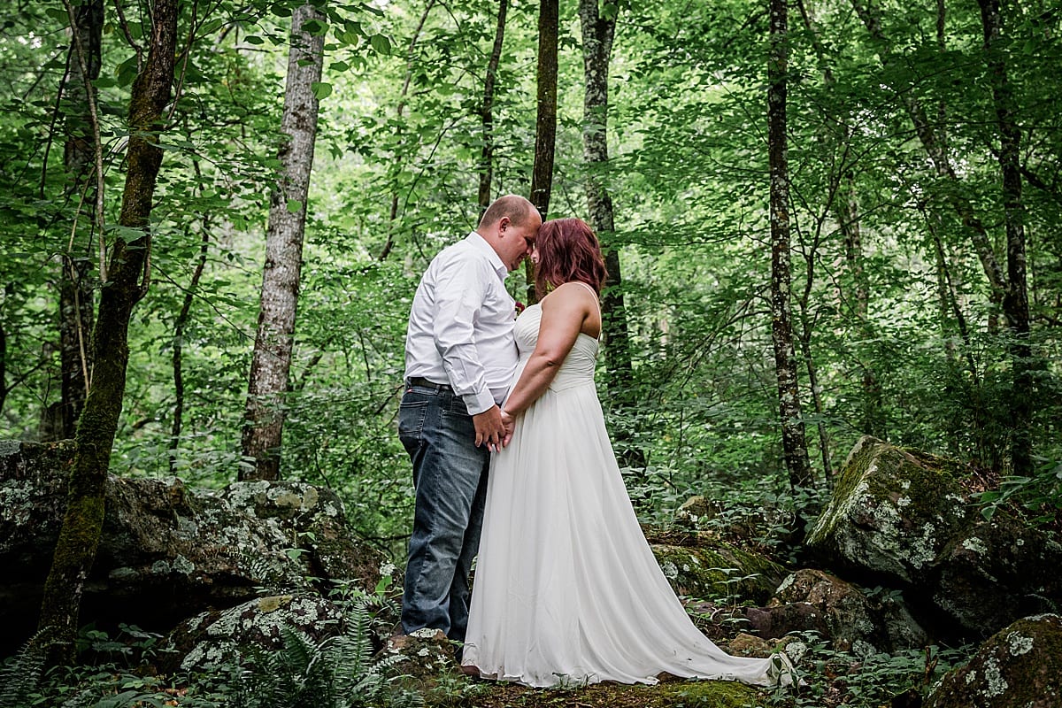 Let's Get Married in the Smoky Mountains
