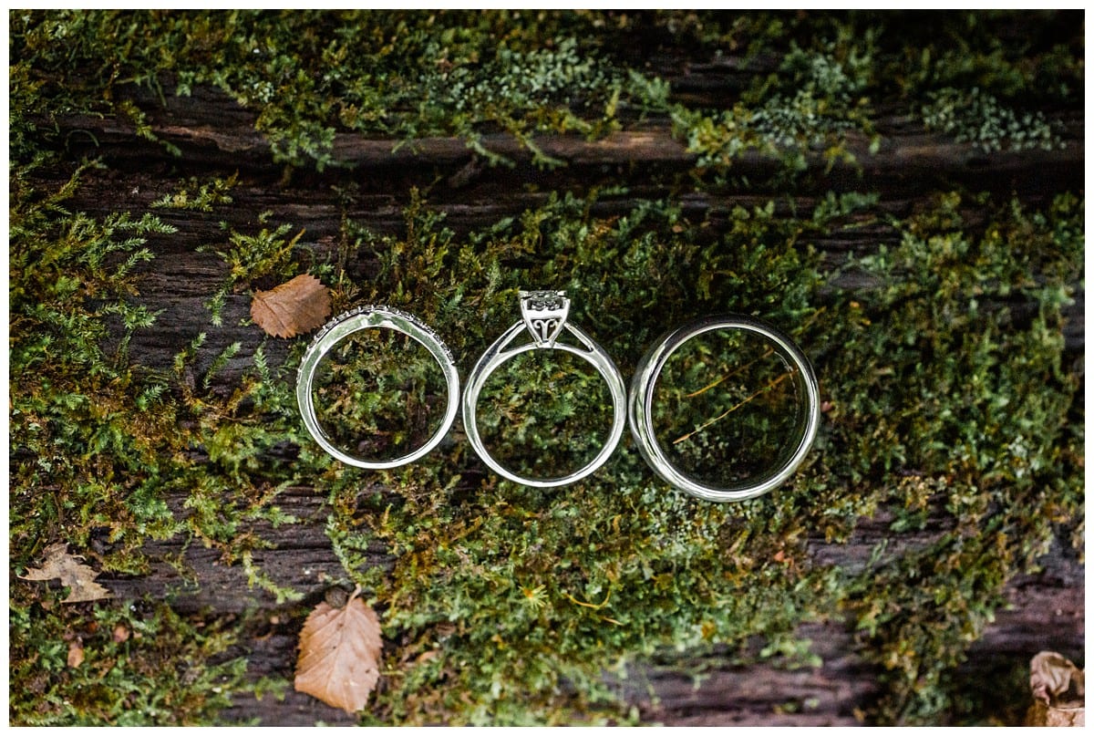 Wedding Rings in Forest