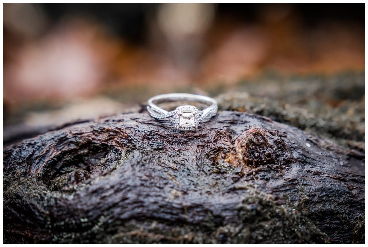 Engagement Ring on Log