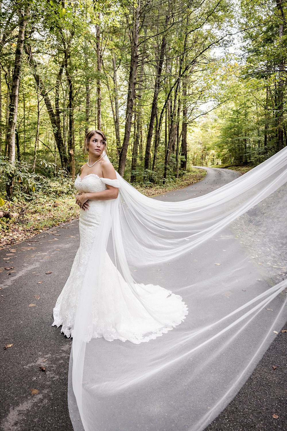 Rustic Elegant Mini Wedding