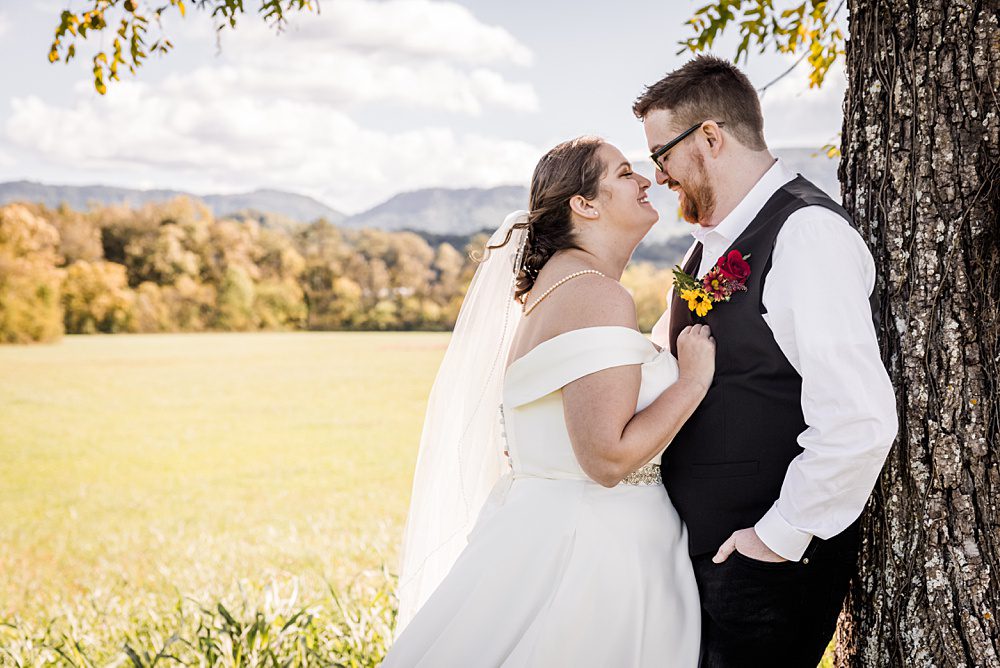 Sunflower Micro Wedding