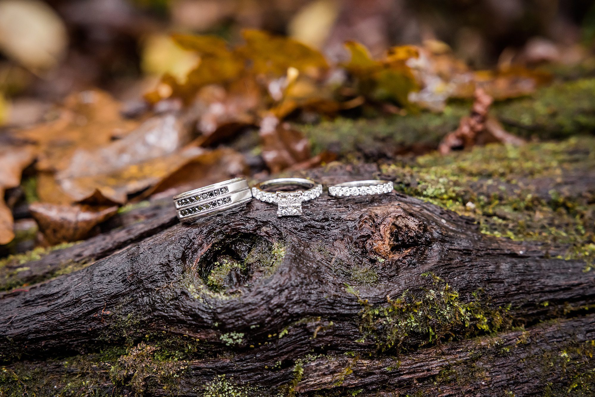 Rings