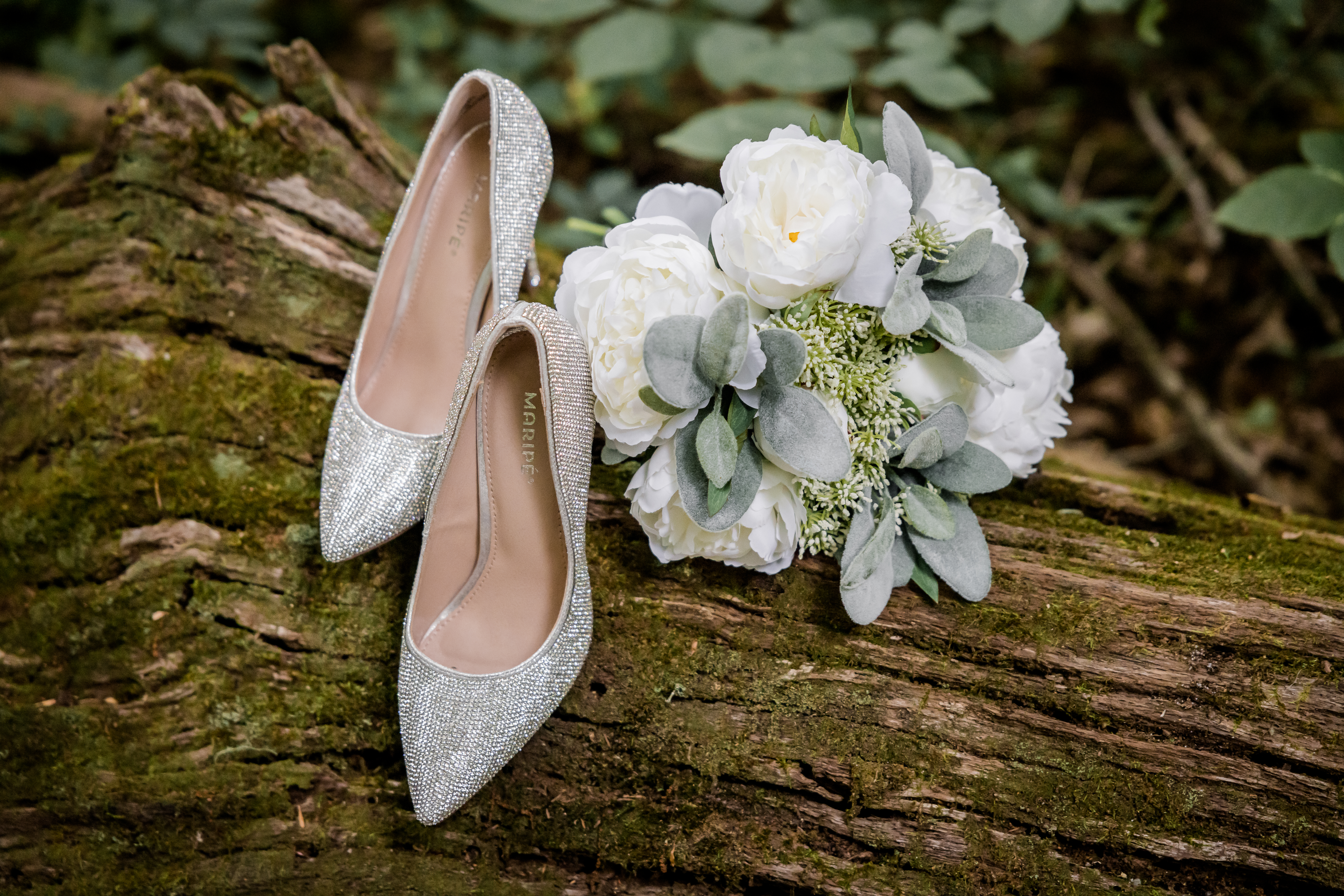 Shiny Wedding Shoes