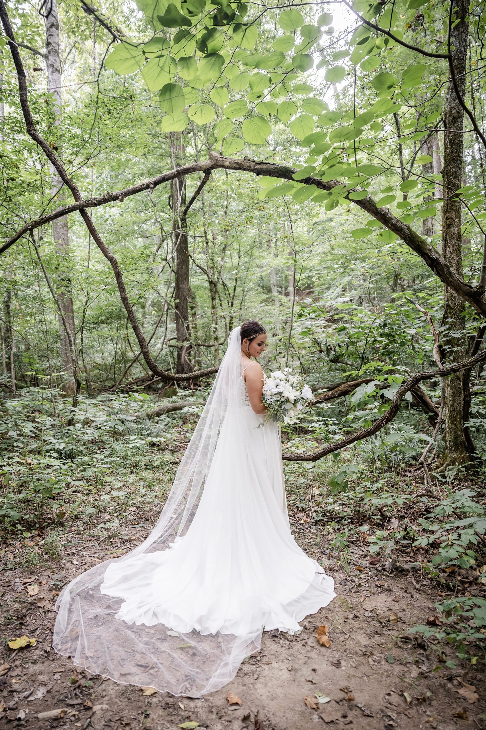 Wedding Veil