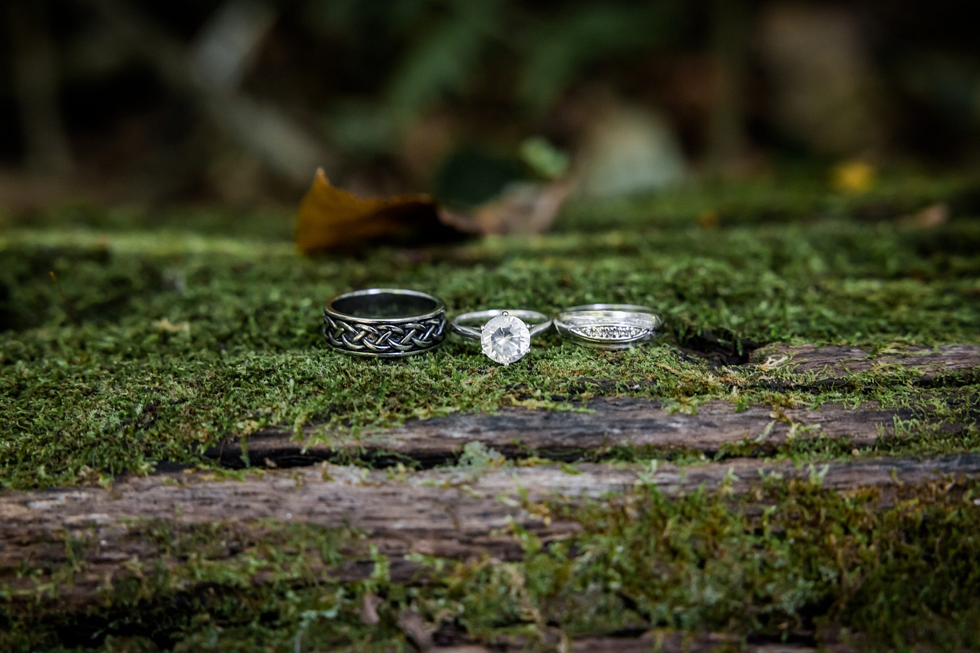 Wedding Rings on a log