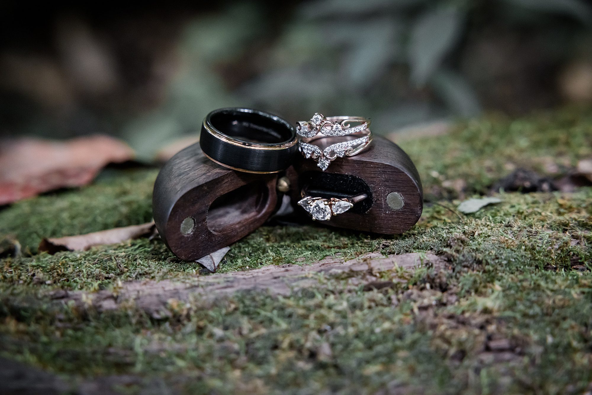 Wedding Rings on Log