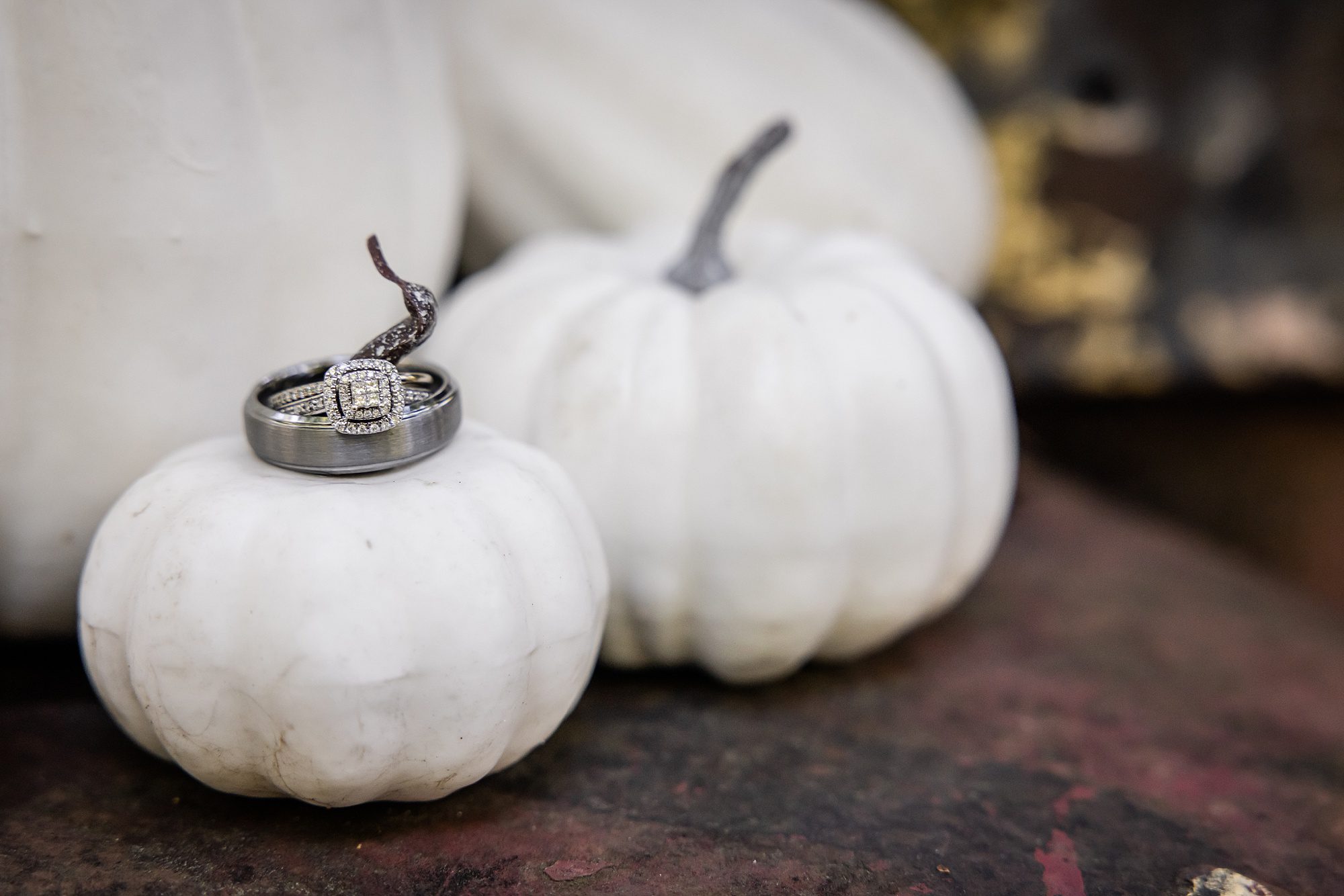 Wedding Rings on White Pumpkins