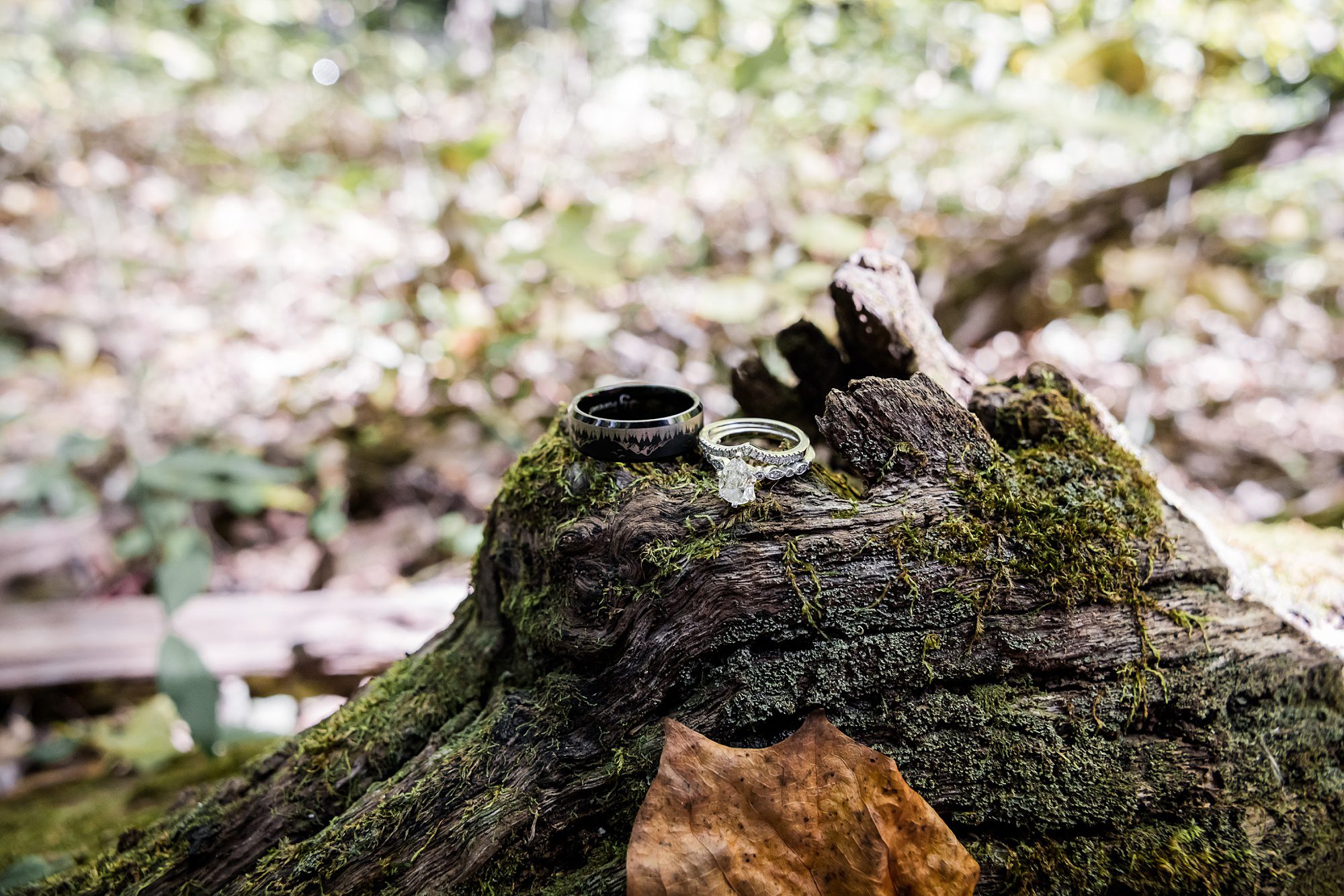 Wedding Rings on Log