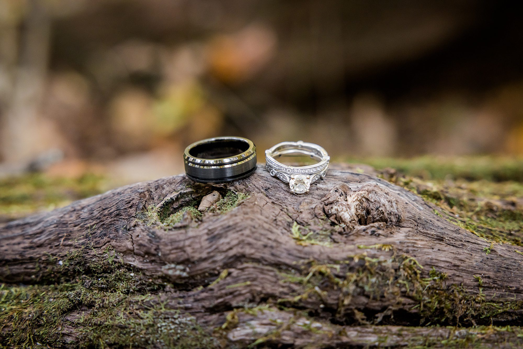Smoky Mountain Fall Wedding