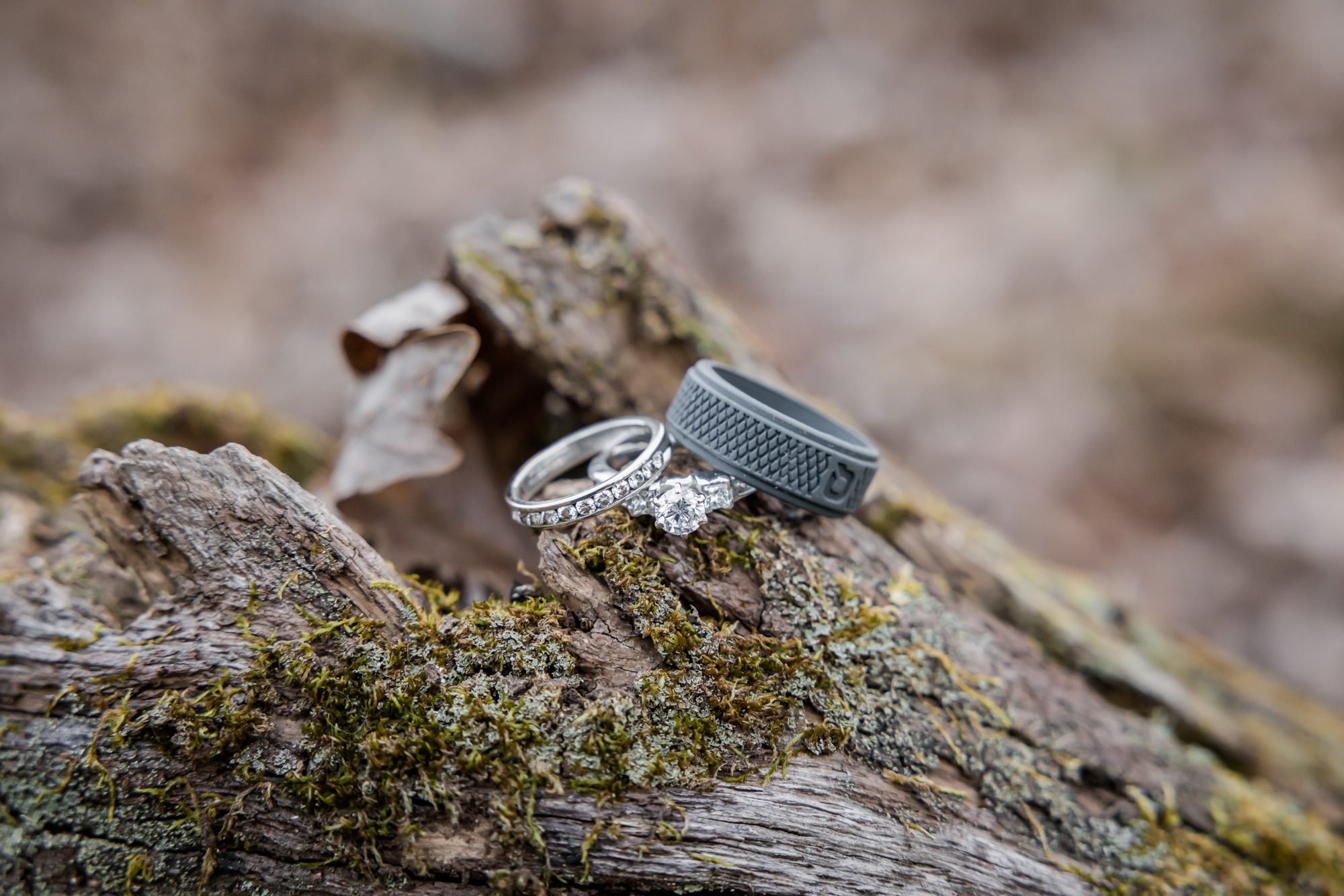 Wedding Rings on a Log