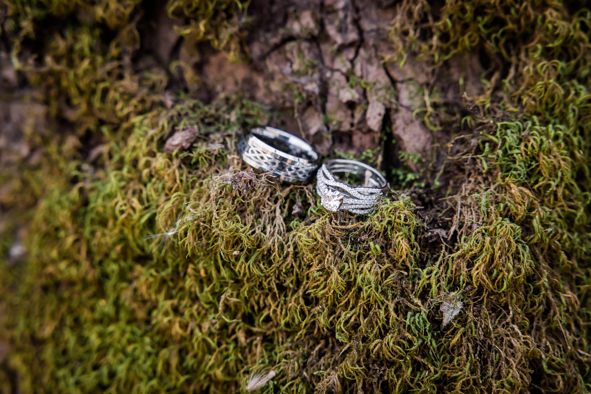 Wedding Rings on Moss Log