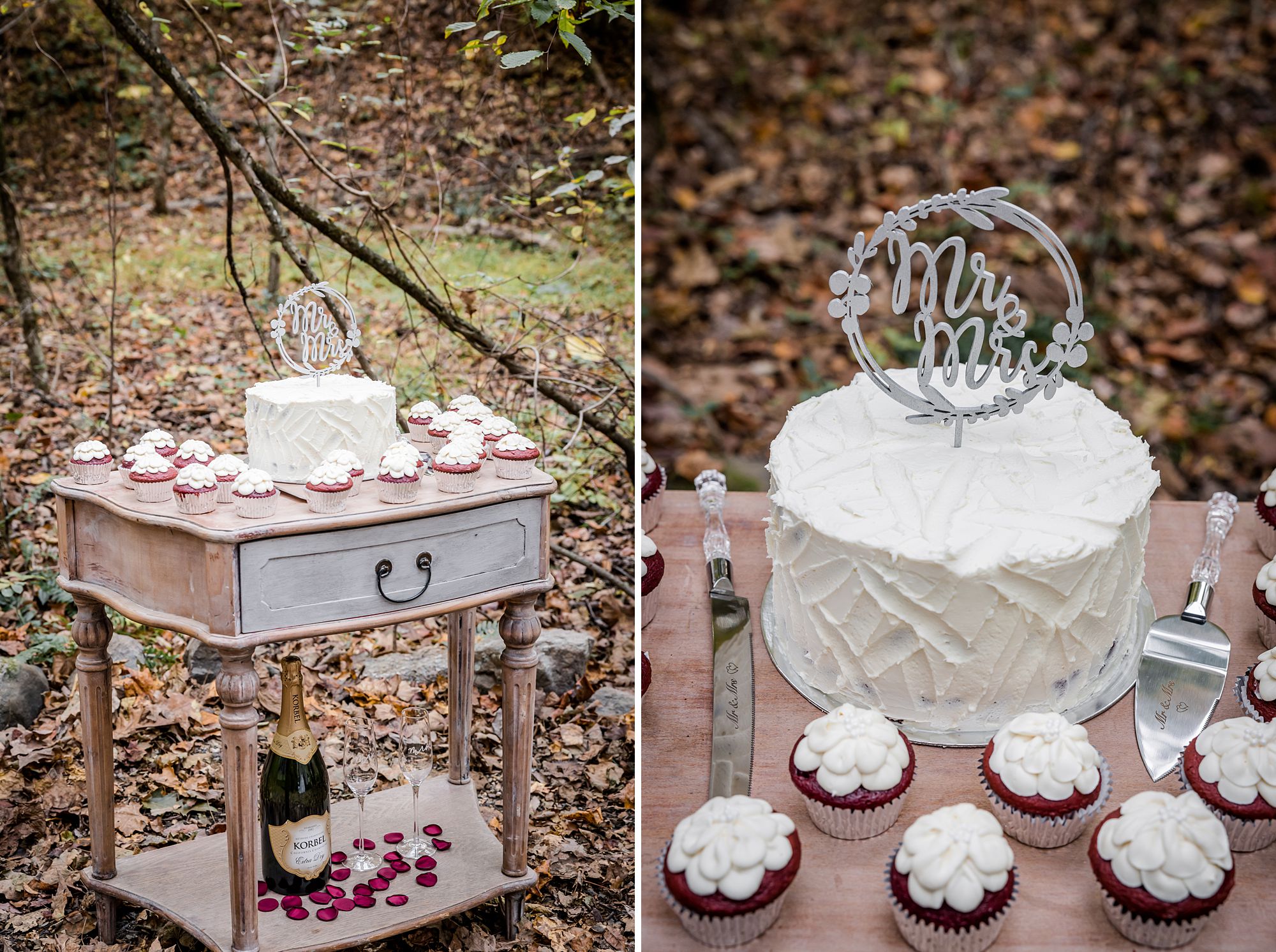 Smoky Mountain Cake and Cupcake Table