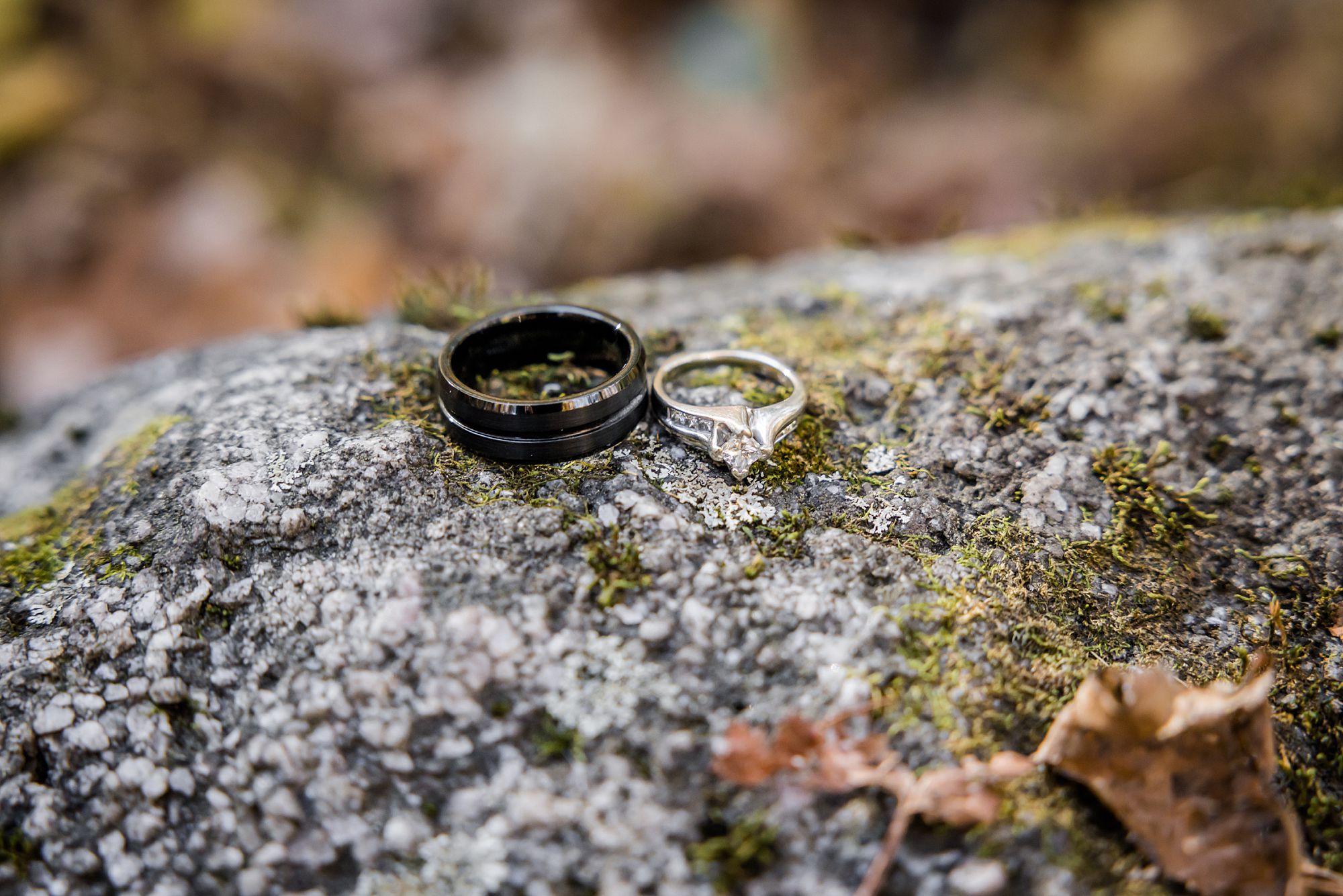 Wedding Rings on Rock