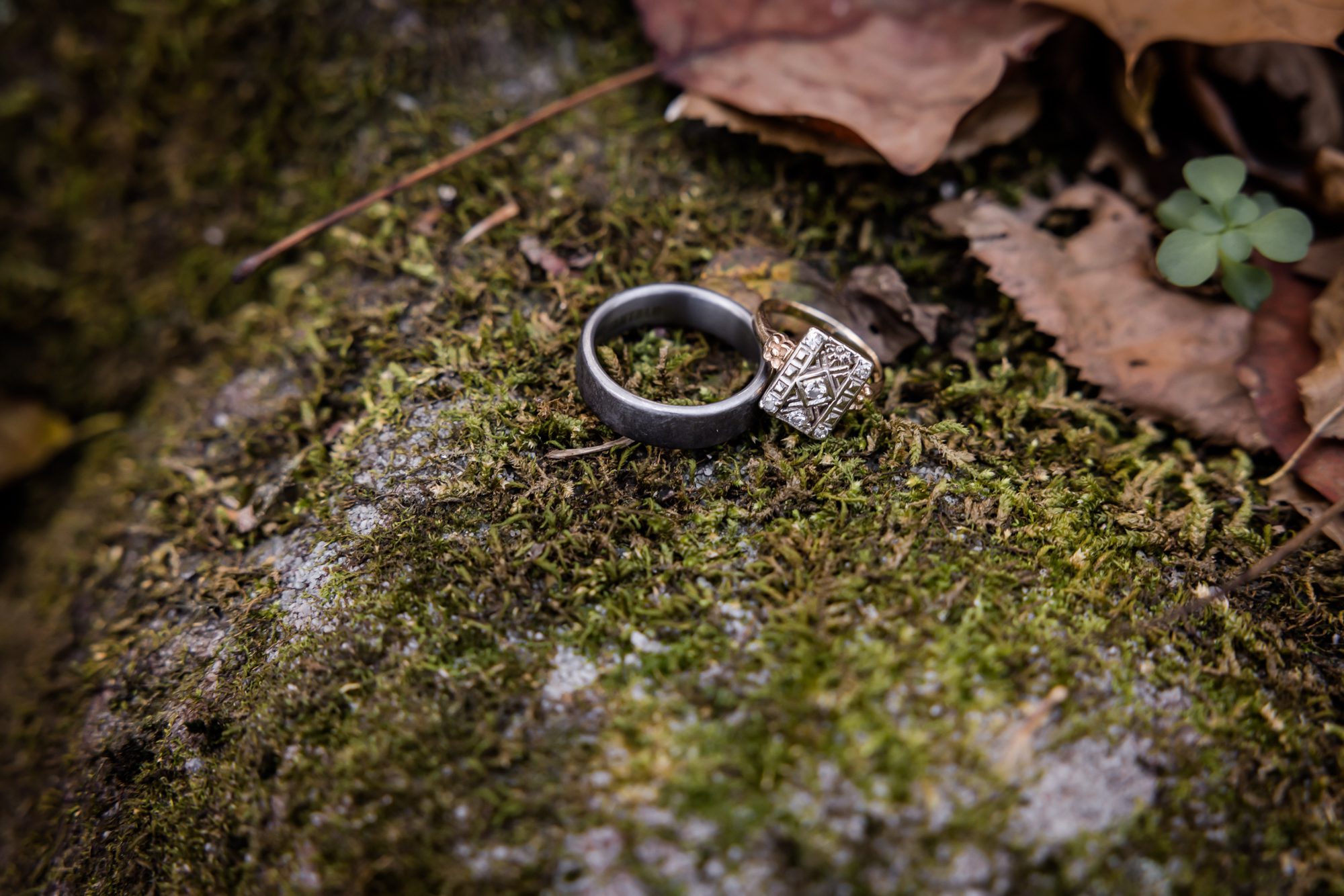 Outdoor Wedding Rings