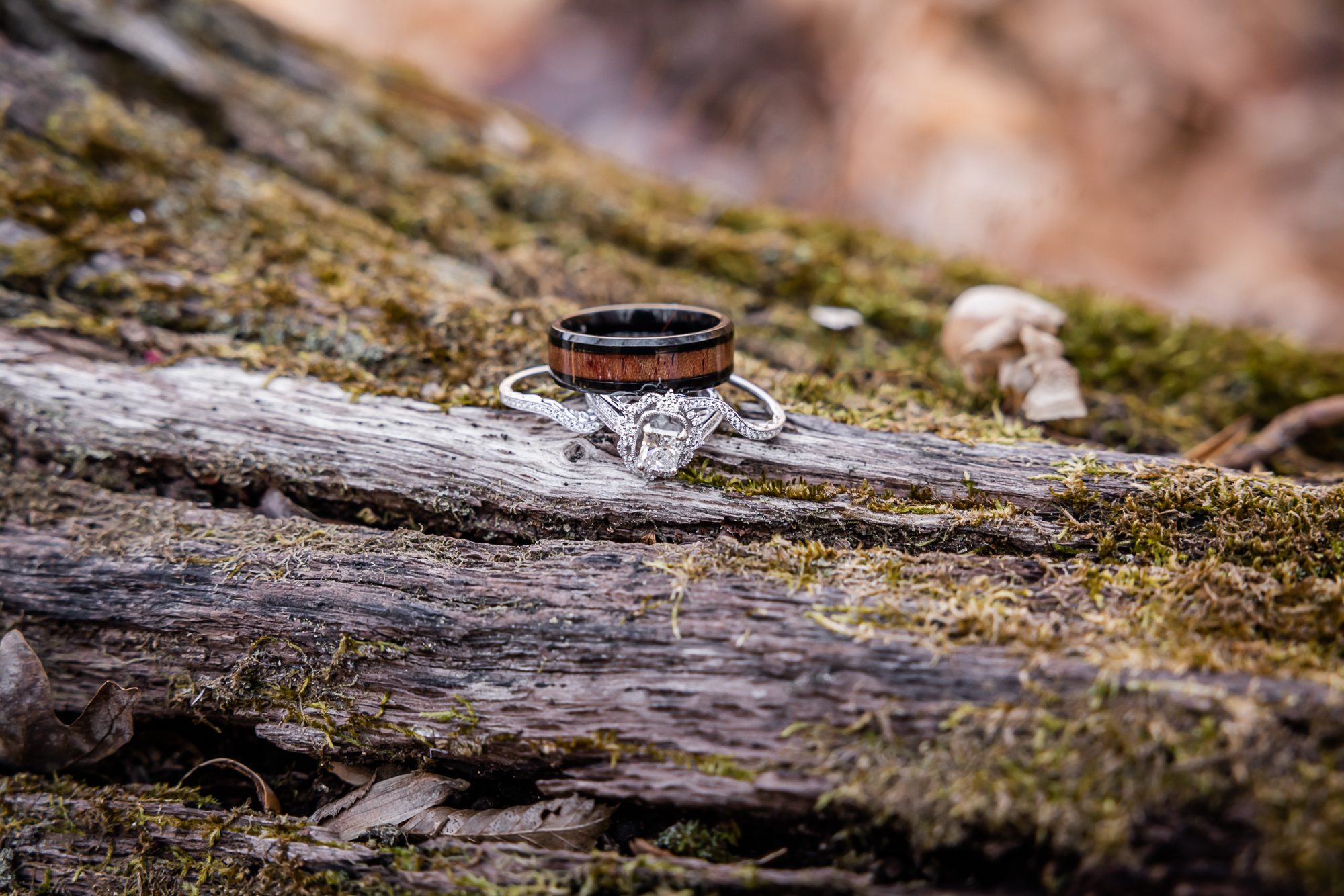 Wedding Rings on Mossy Log
