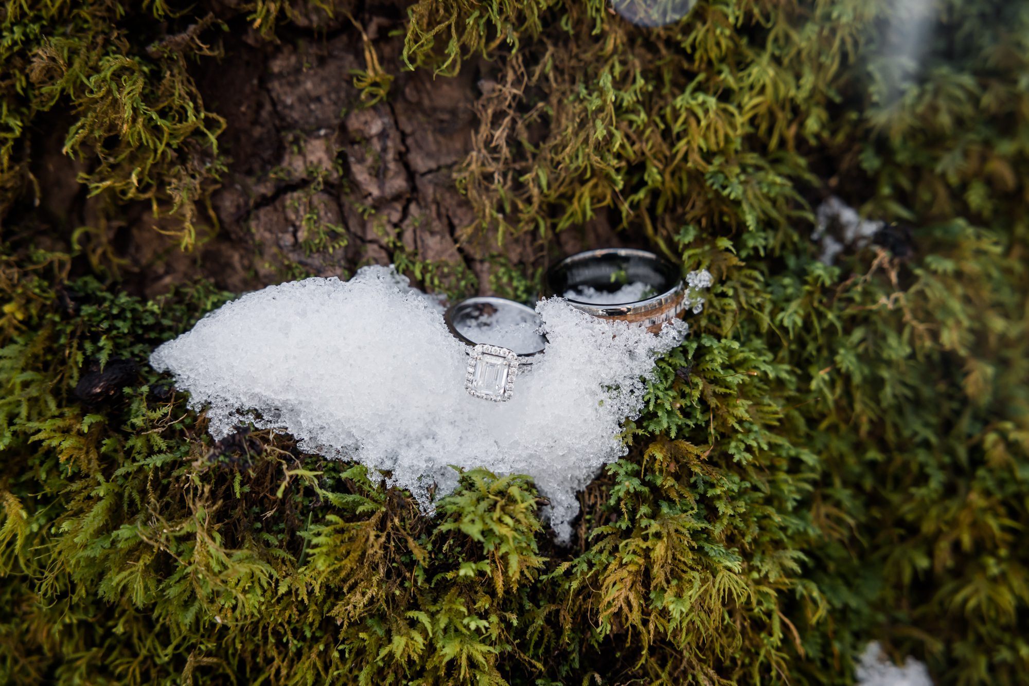 Moss and Snow Wedding Rings Portrait