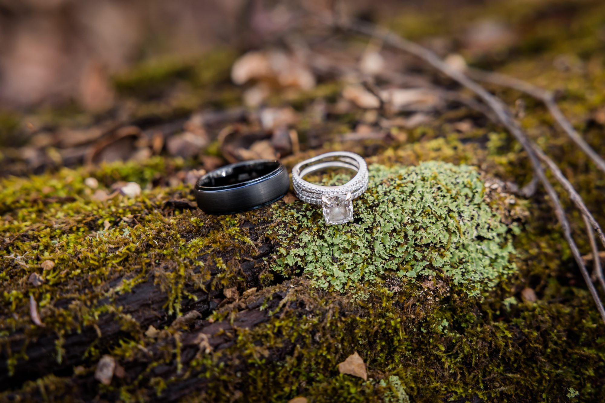 Wedding Rings on a Mossy Log