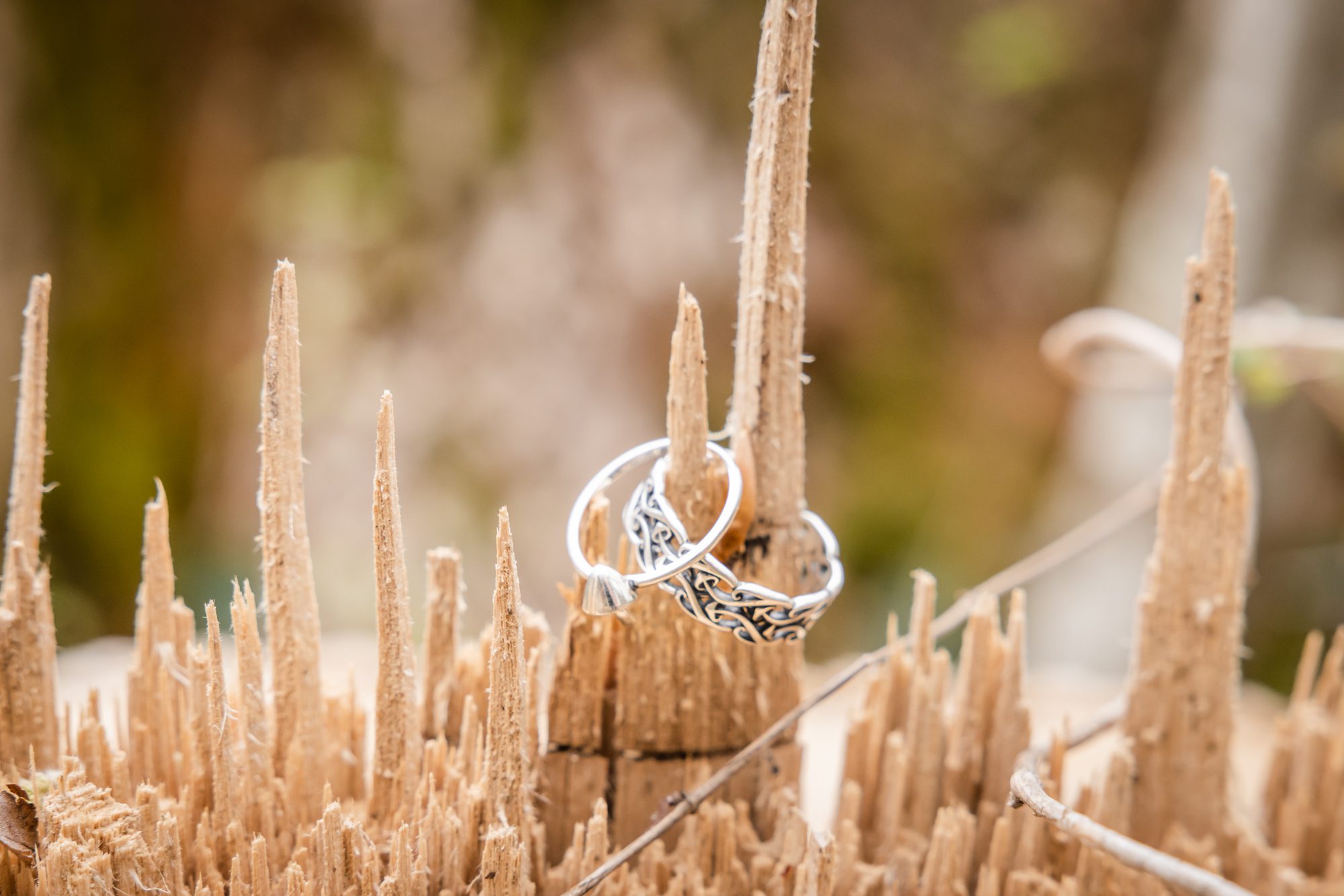 Mushroom Wedding Rings