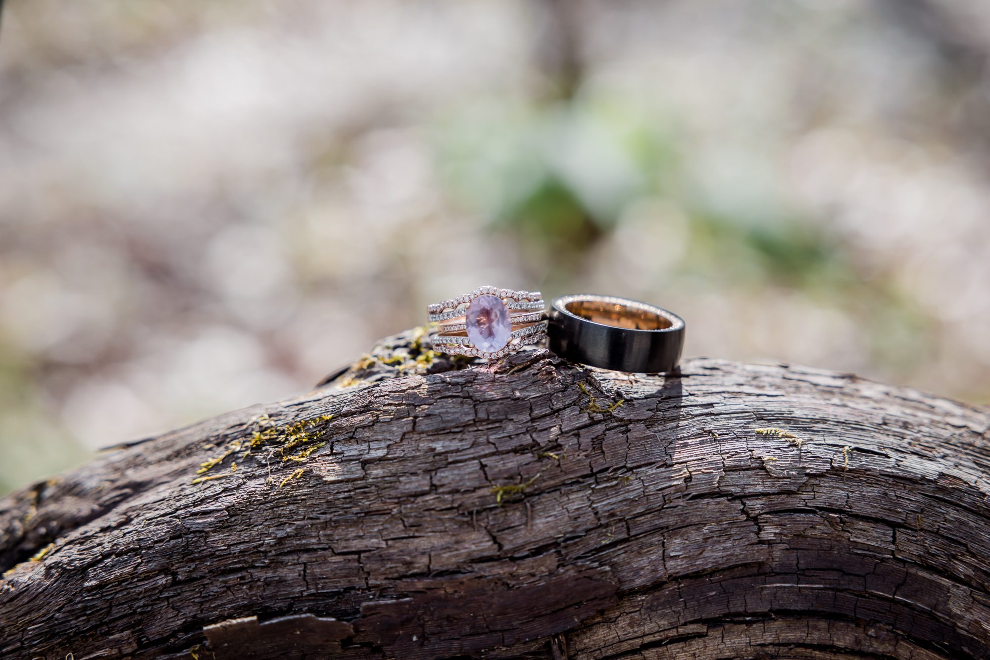 Wedding rings on Log