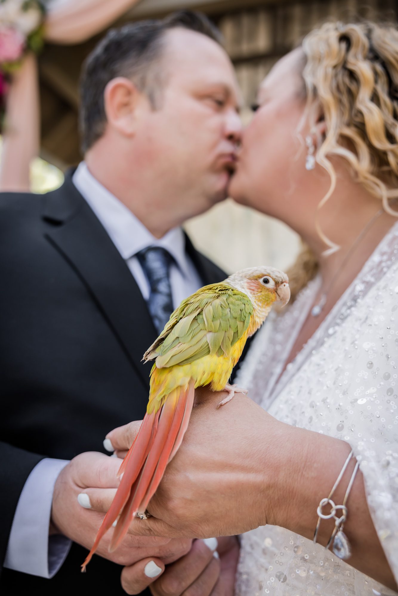 Pet friendly wedding
