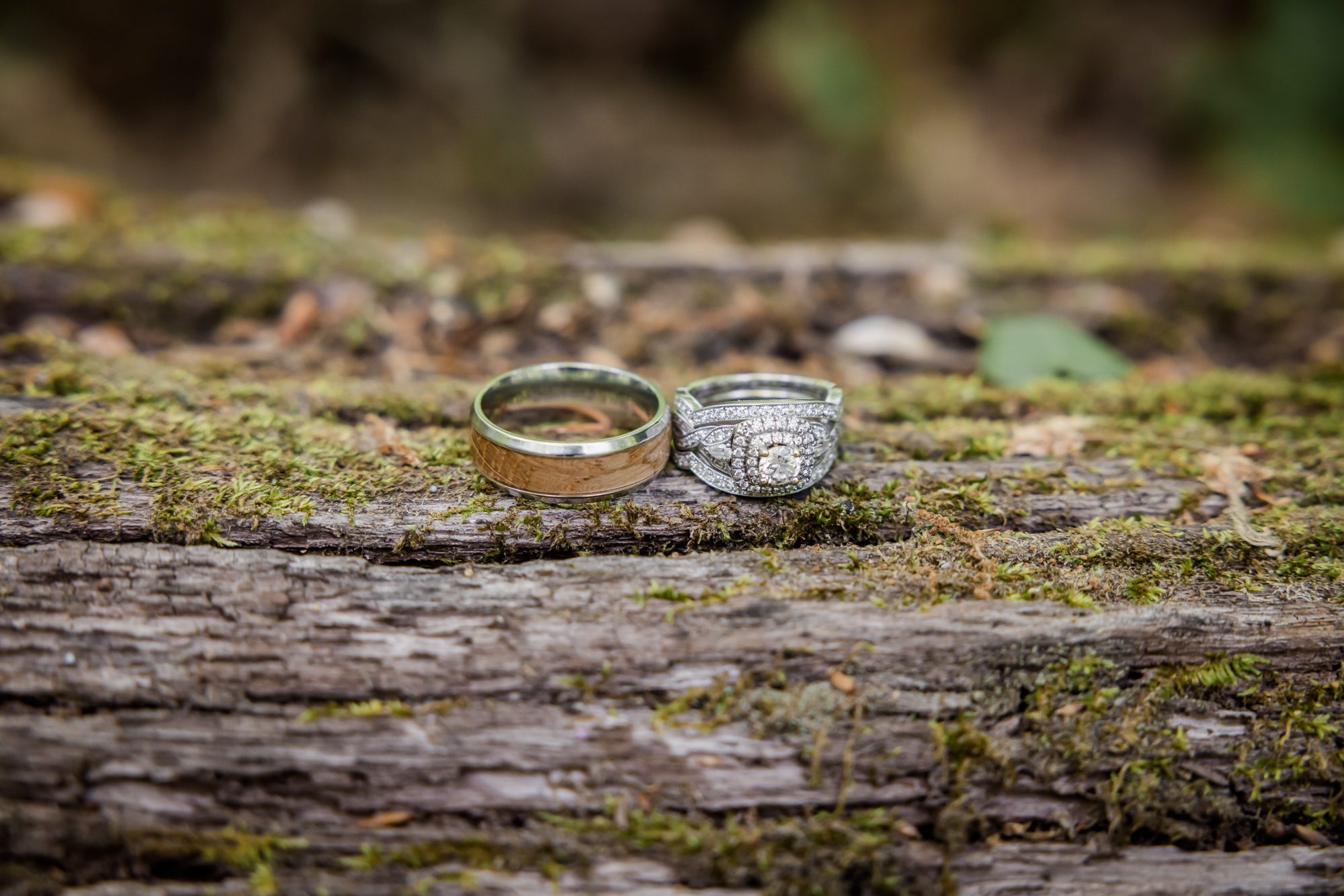 Wedding Rings on Mossy Log 