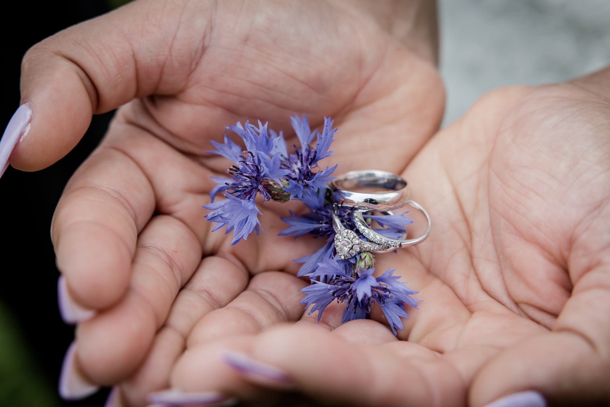 Wildflower Wedding Rings
