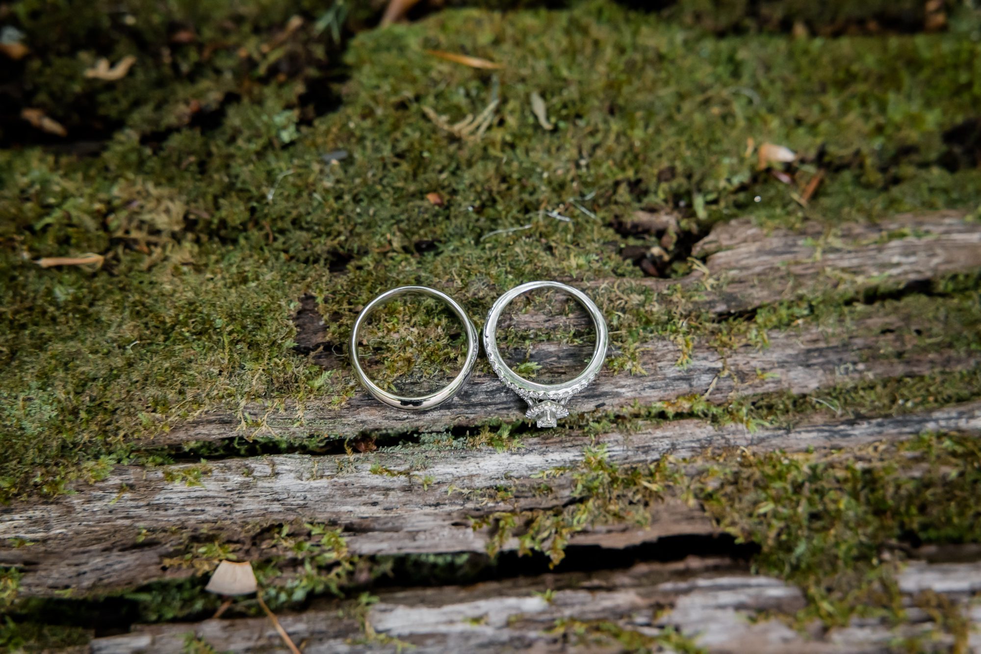 Wedding Rings on Mossy Log