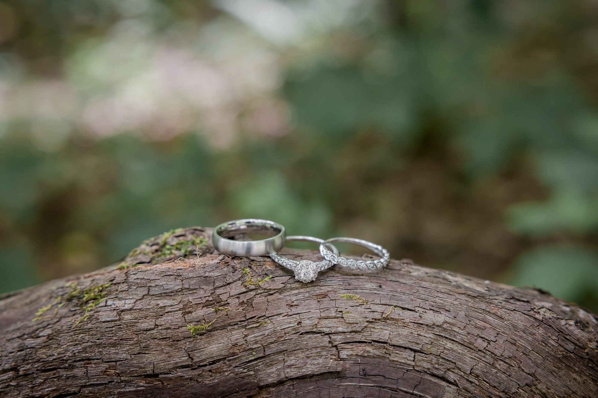 Outdoor wedding rings