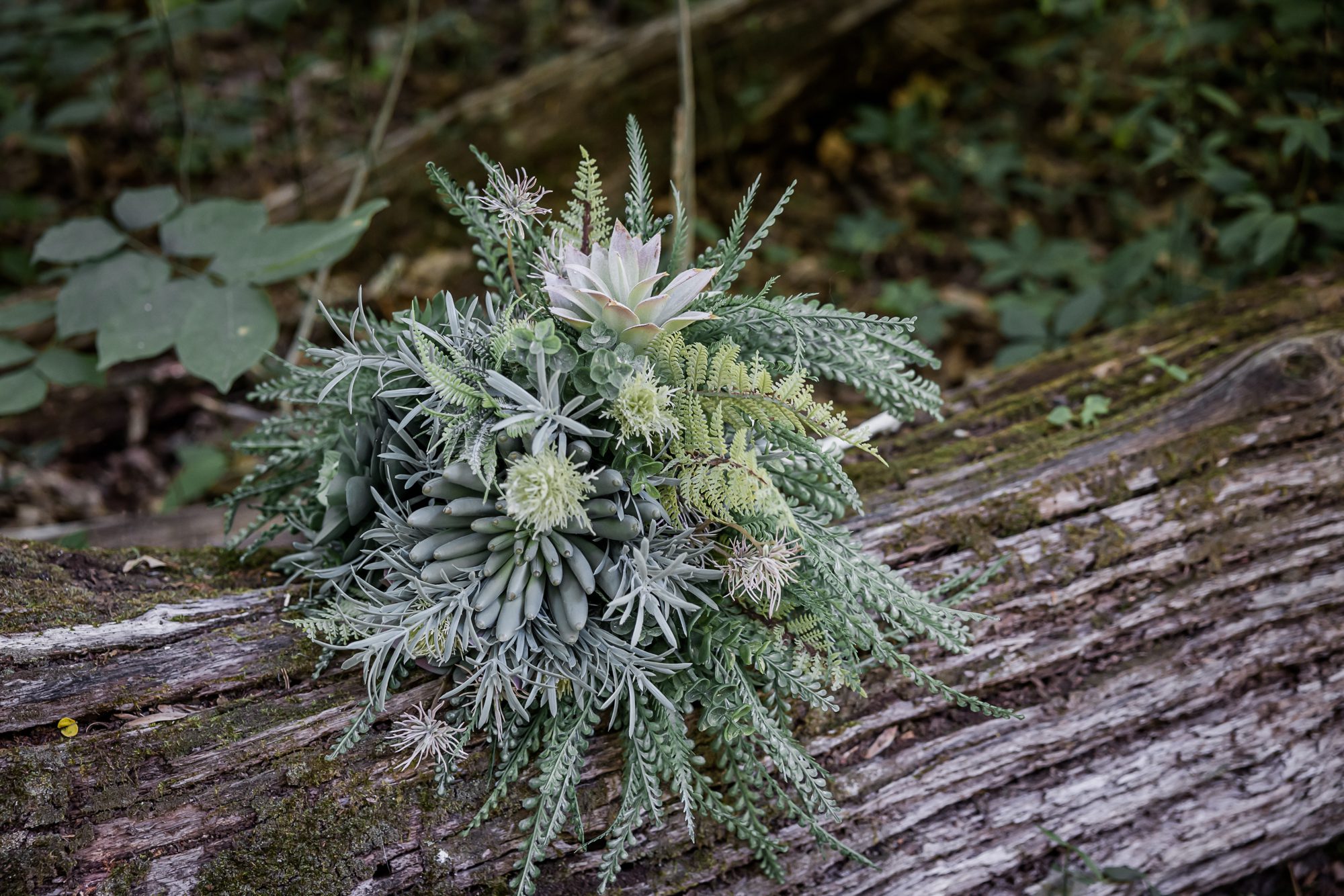 Succulent Bouquet