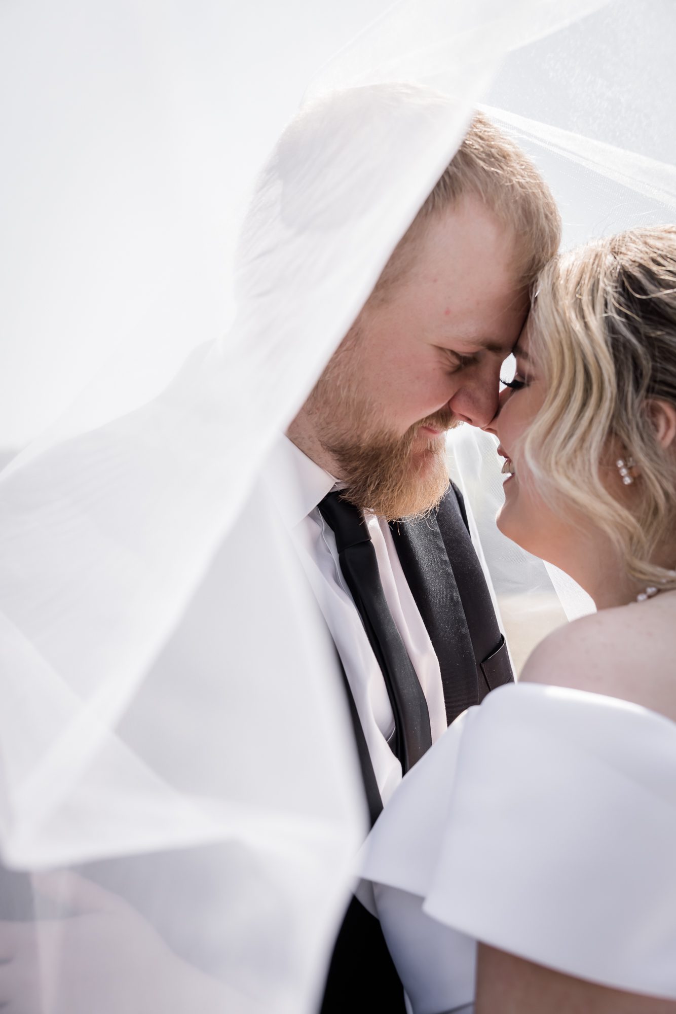 Under the veil bride and Groom Portrait