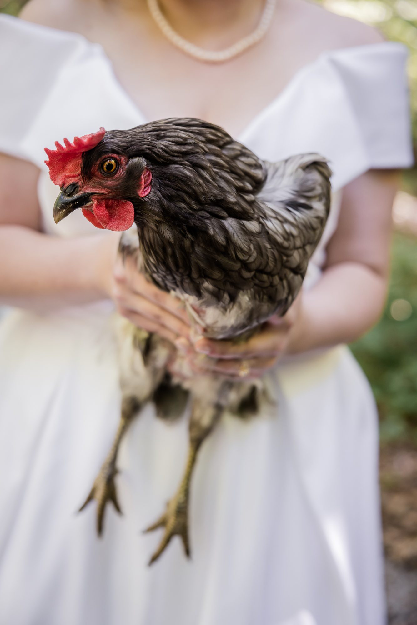 Morning Summer Micro Wedding