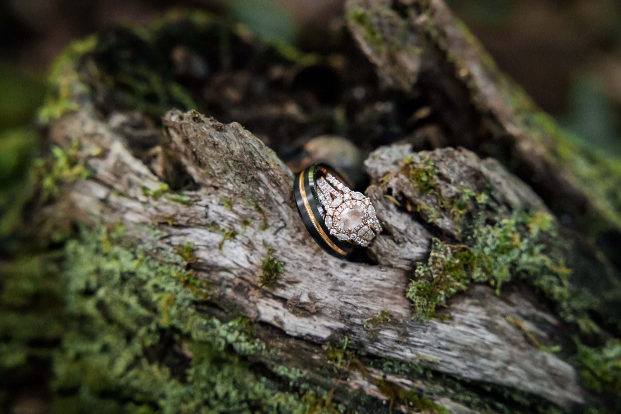 Mossy Log and Wedding Rings