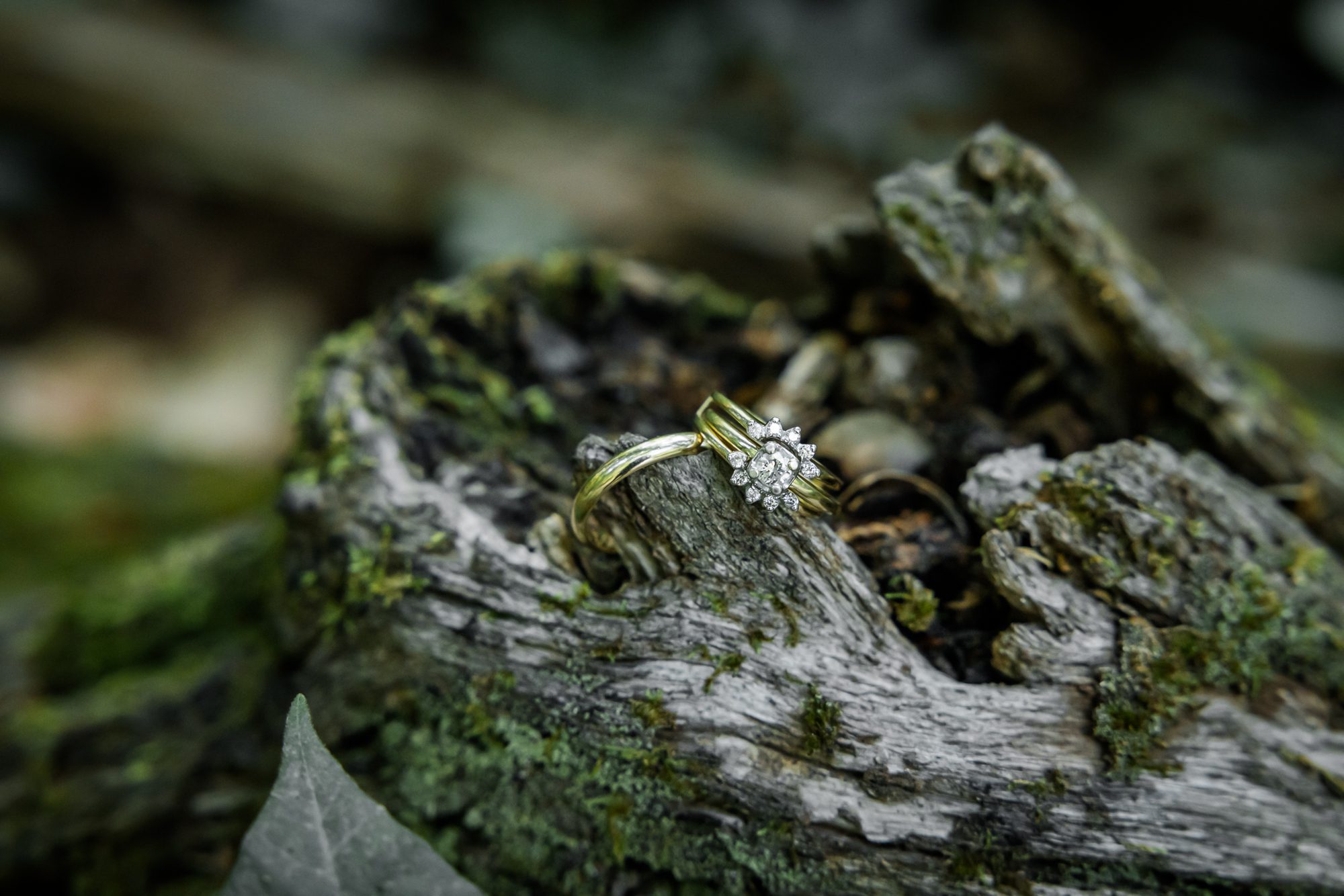 wedding rings on log