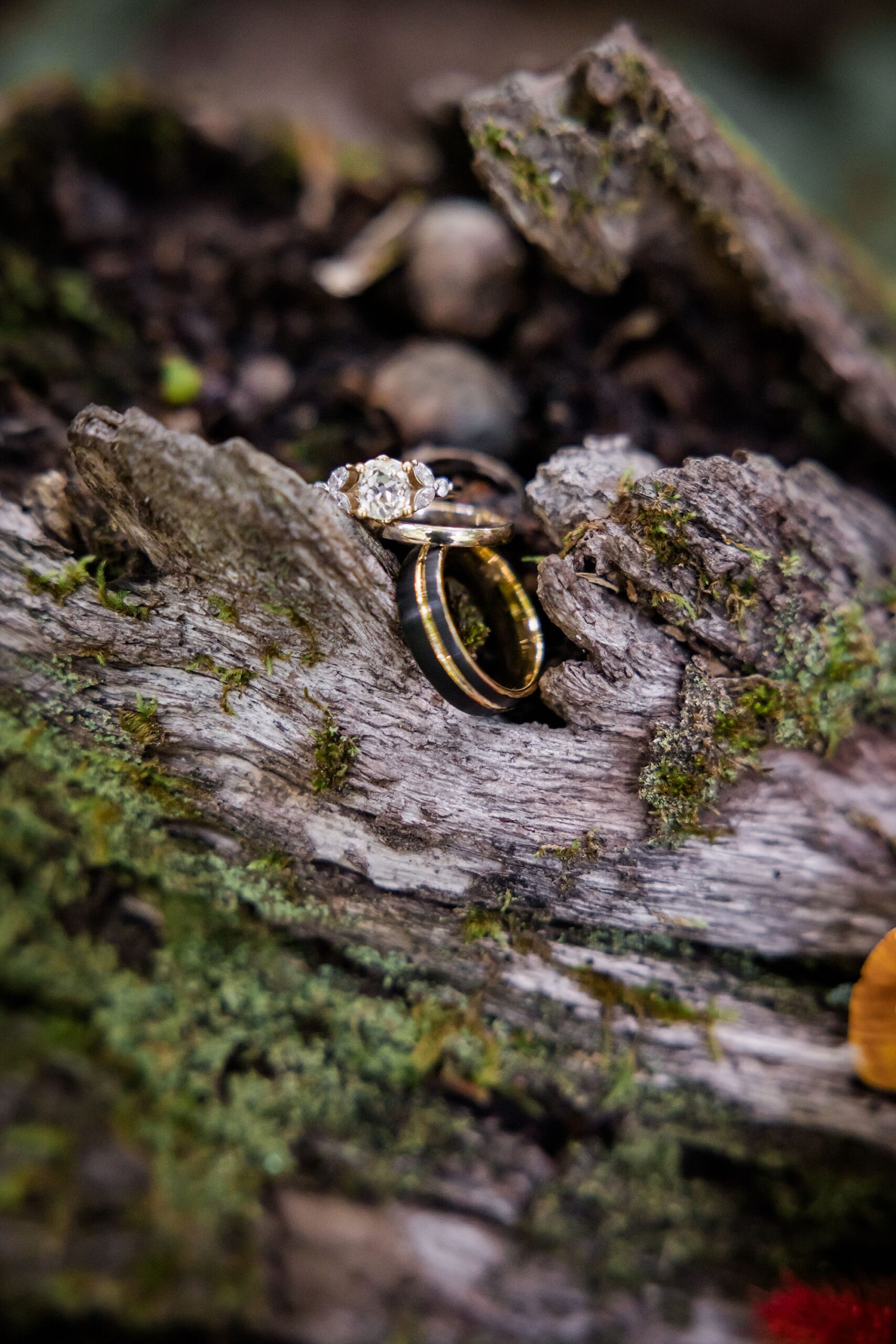 Wedding Rings on Mossy Log
