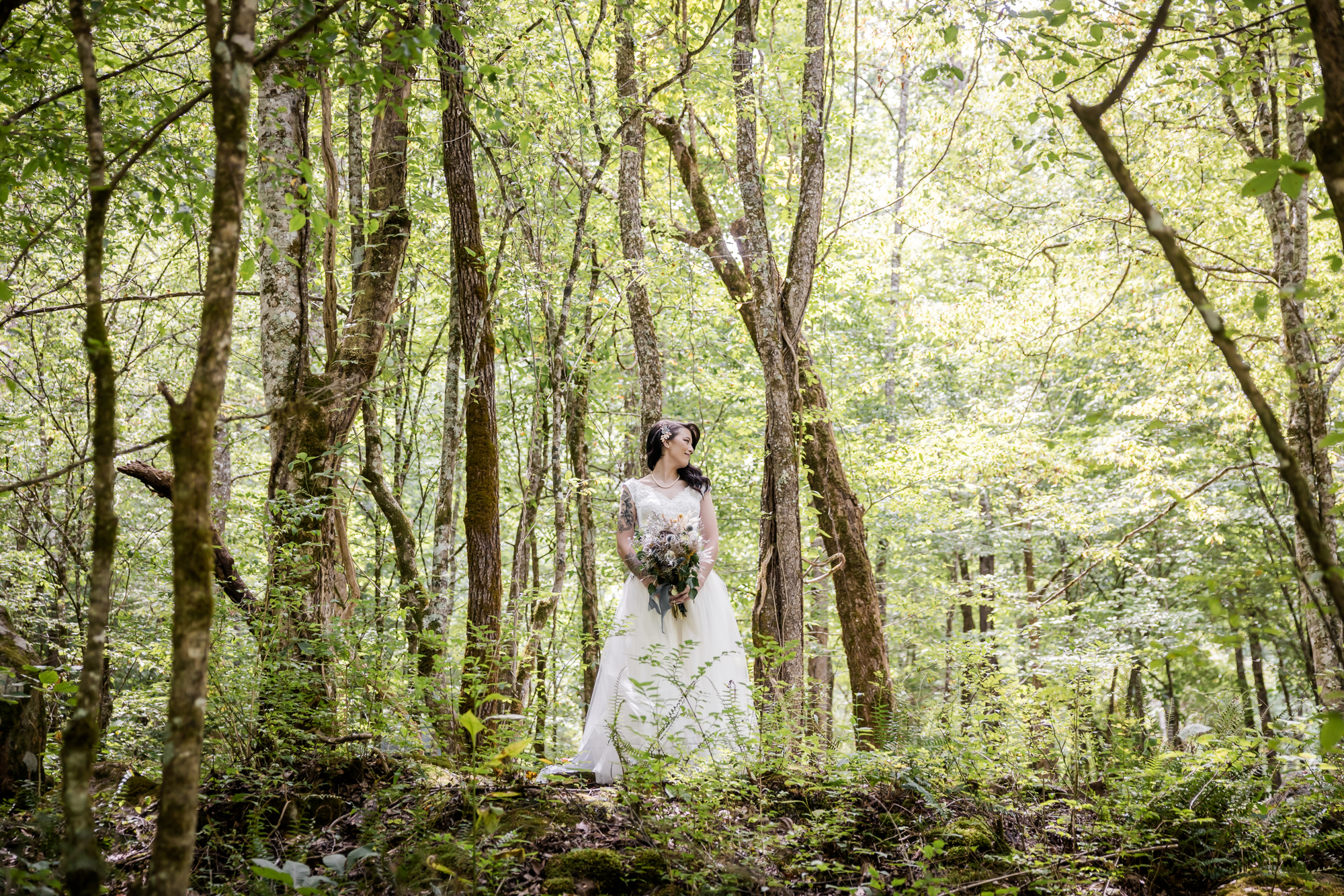 Tiny Wedding in the Smoky Mountains