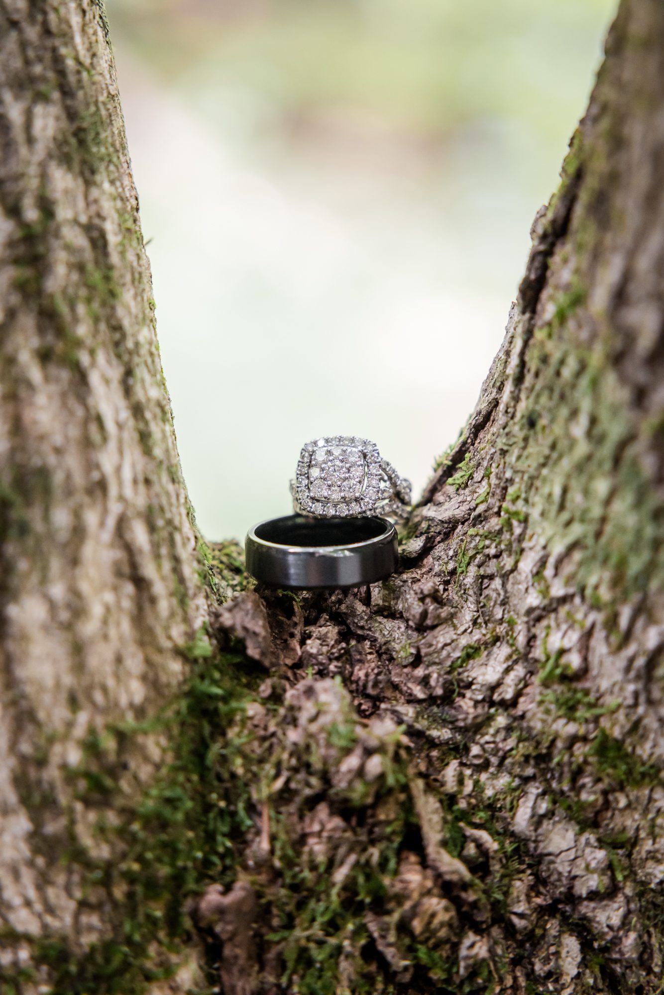 Woodsy wedding rings