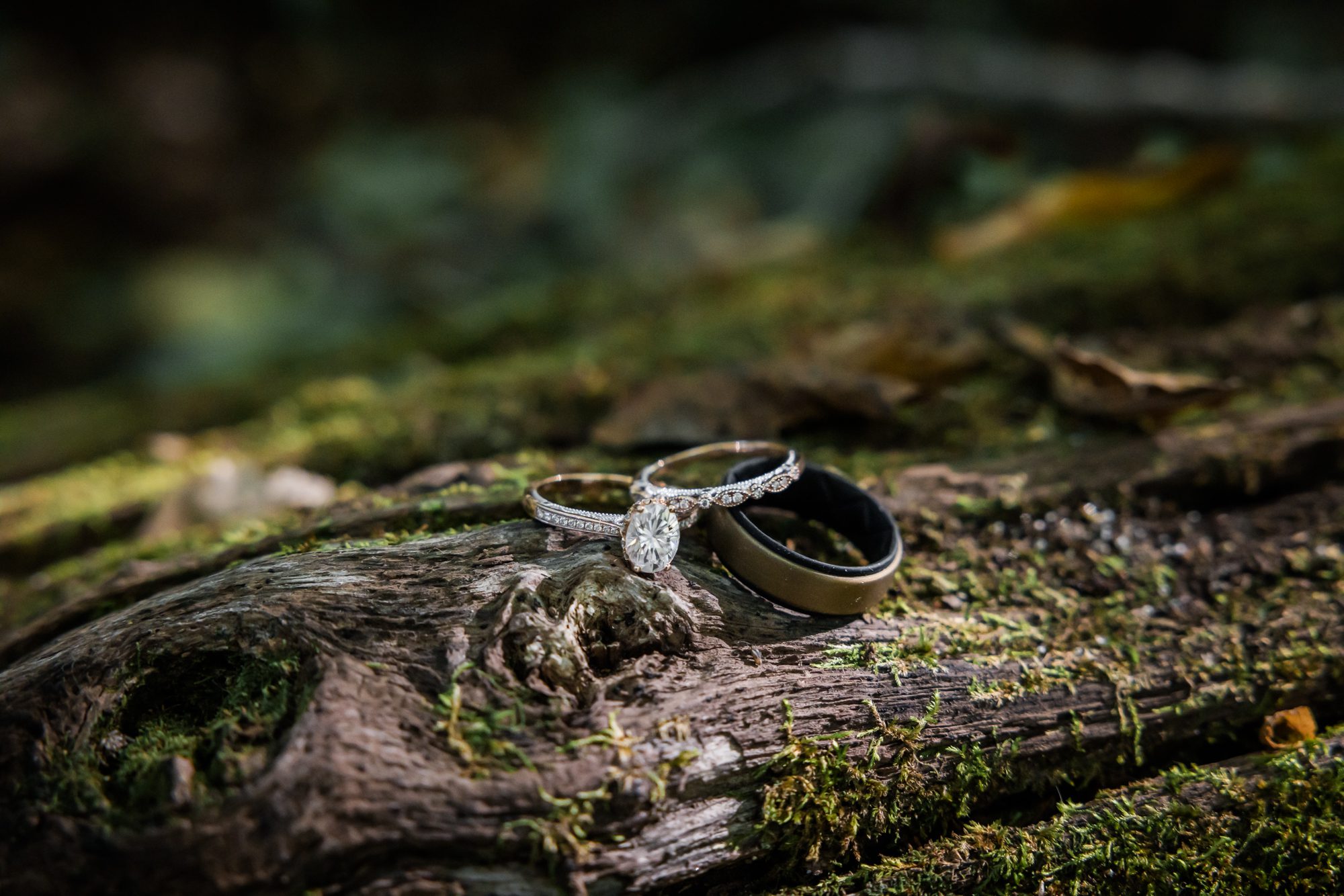 Wedding rings on mossy log