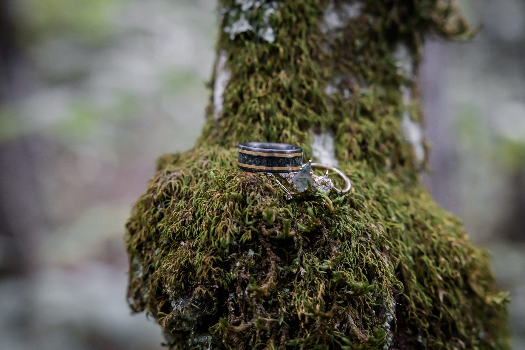 Mossy Tree with Wedding Rings
