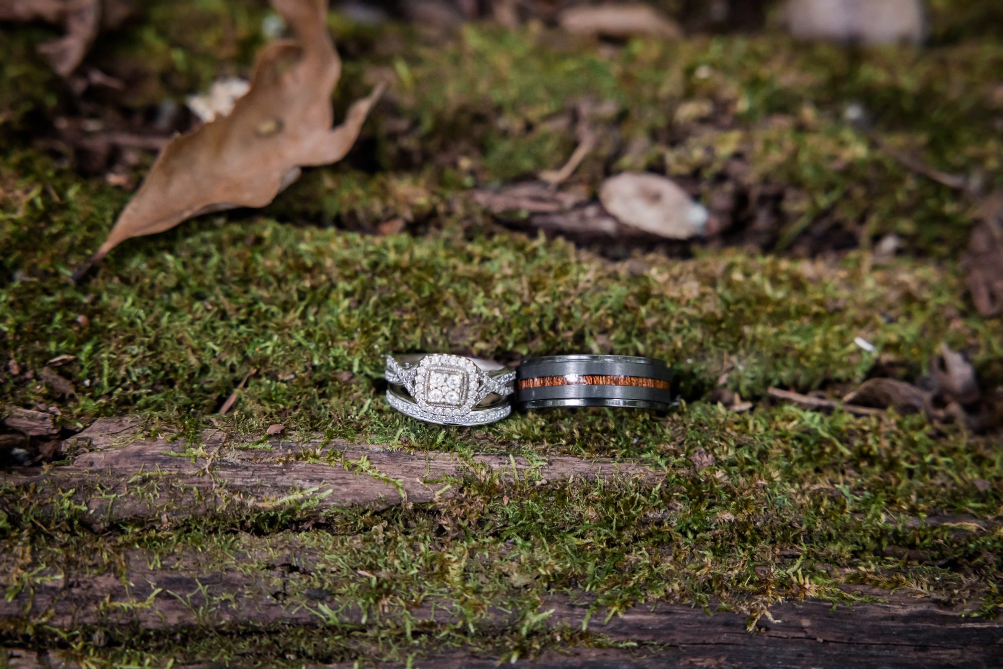 Wedding rings on Mossy Log