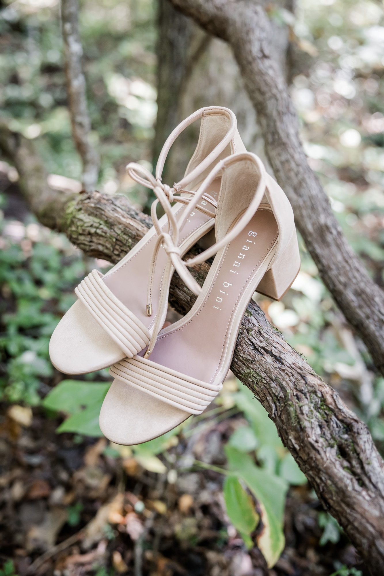 Last-Minute Elopement