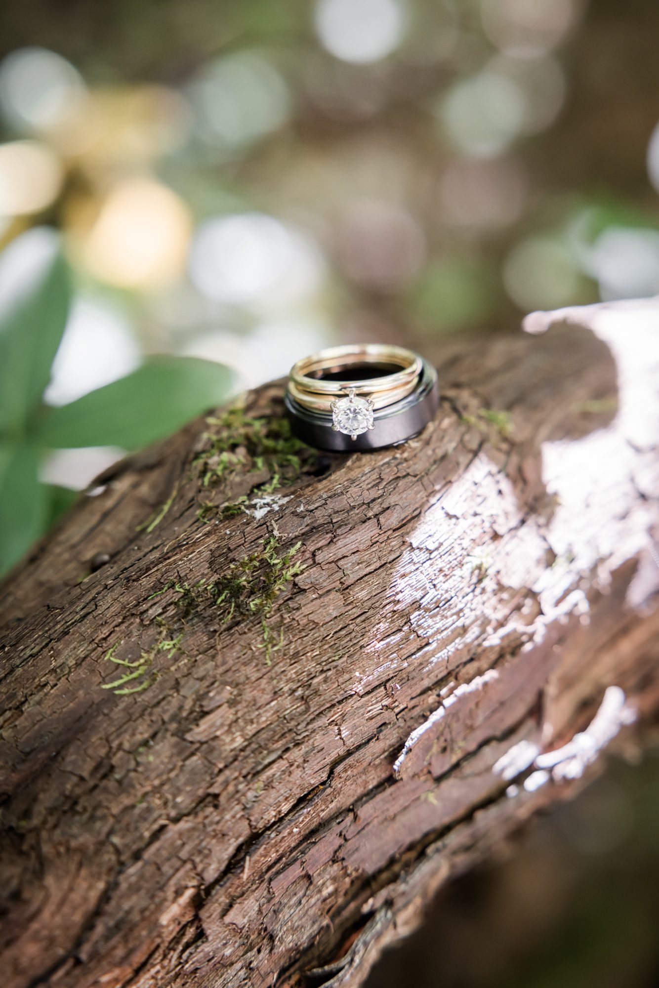 outdoor wedding rings