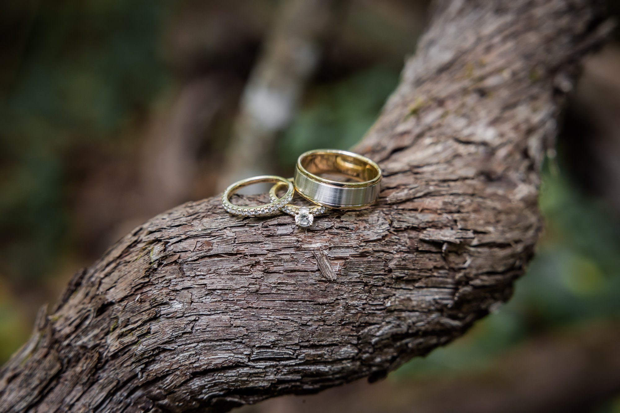 Outdoor wedding rings