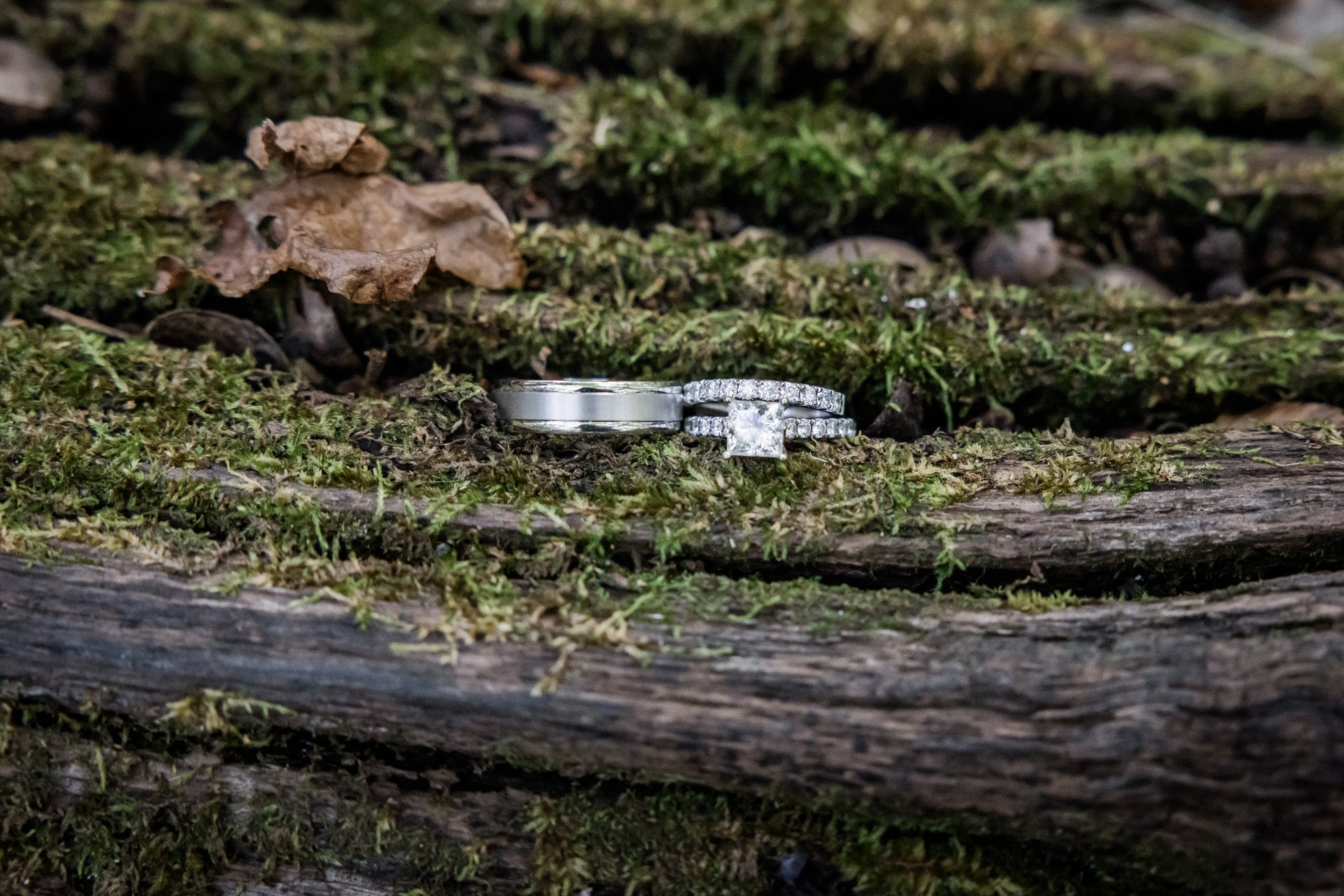 wedding rings on mossy log