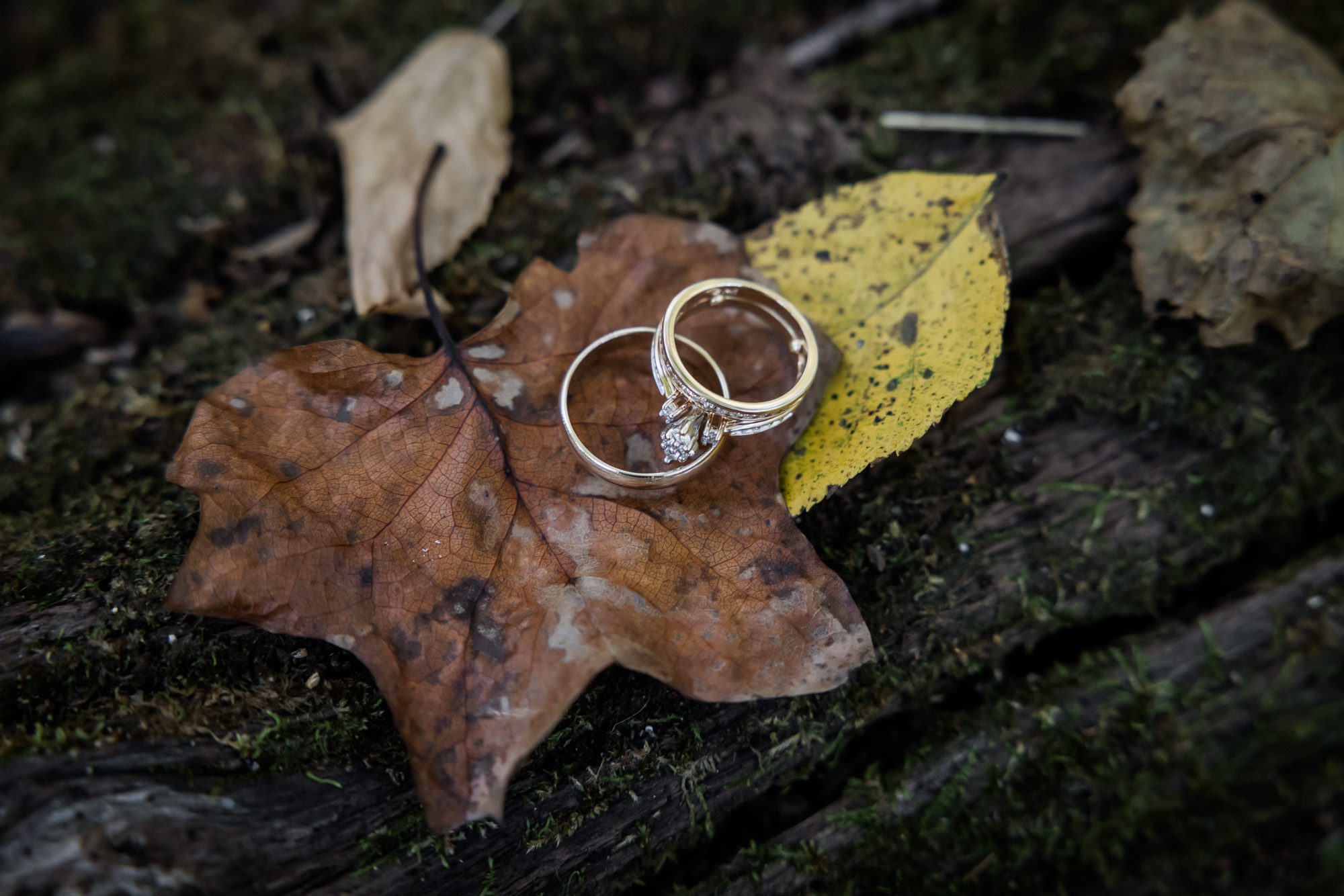 Fall wedding rings