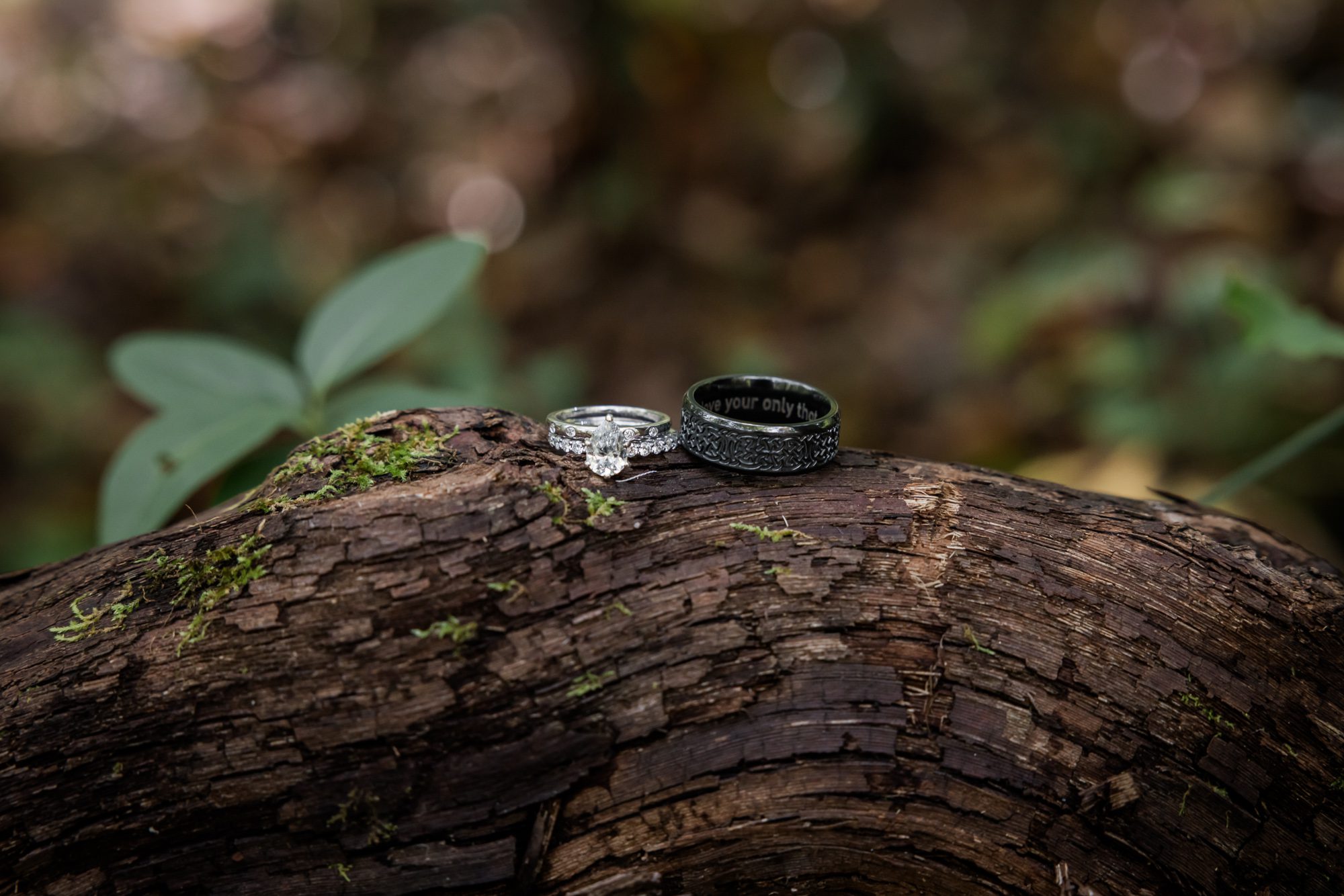 Wedding rings on vine
