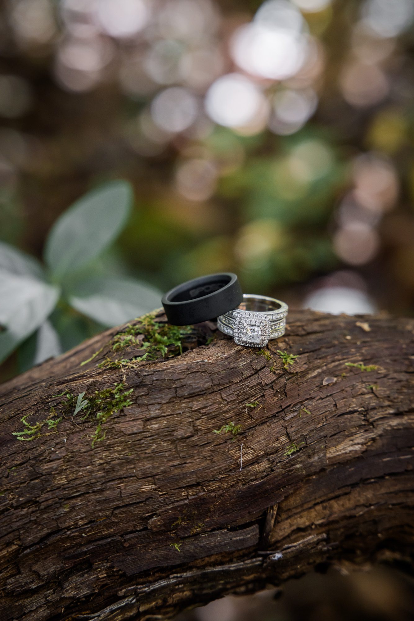 wedding rings on vine