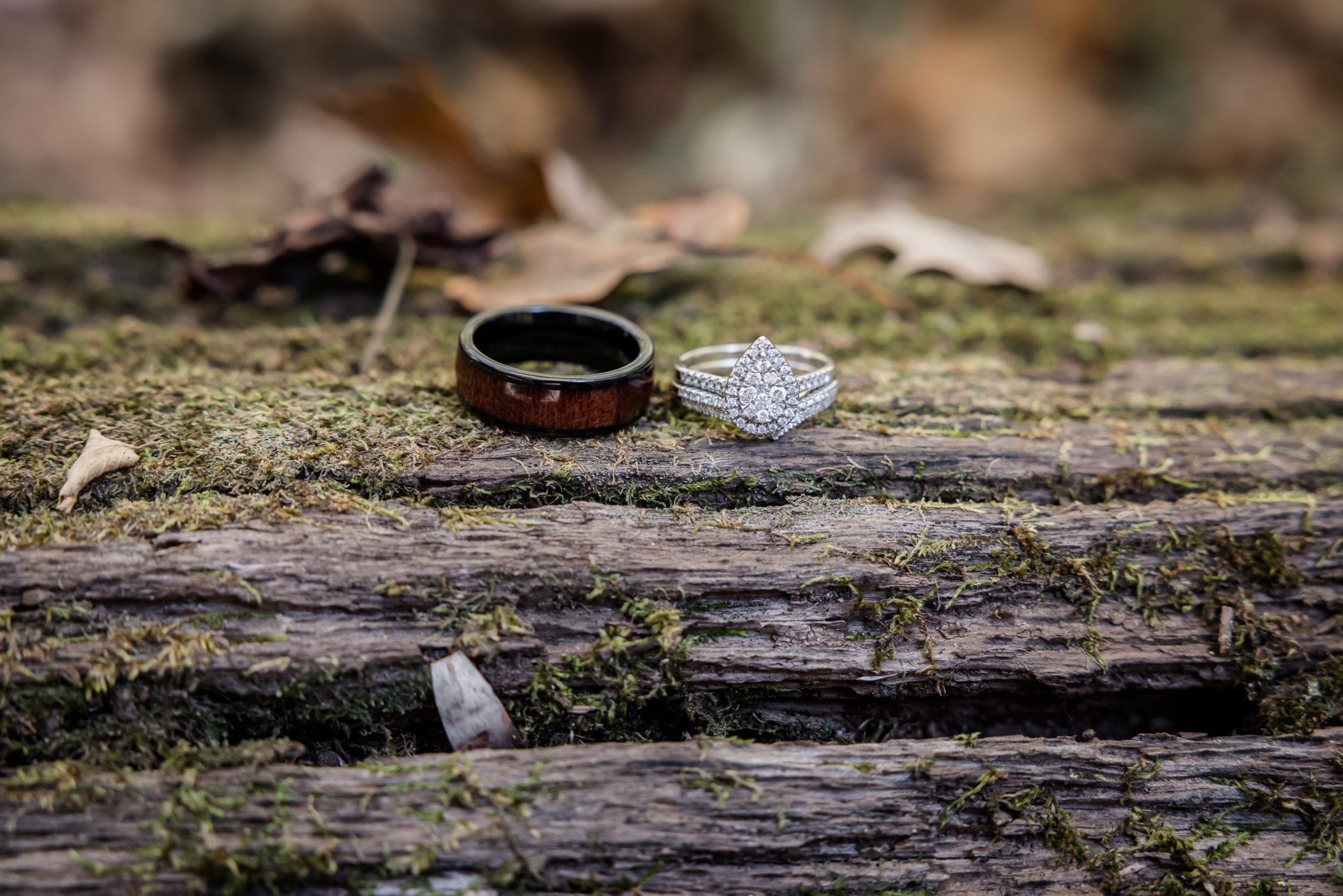 Wedding rings on mossy log